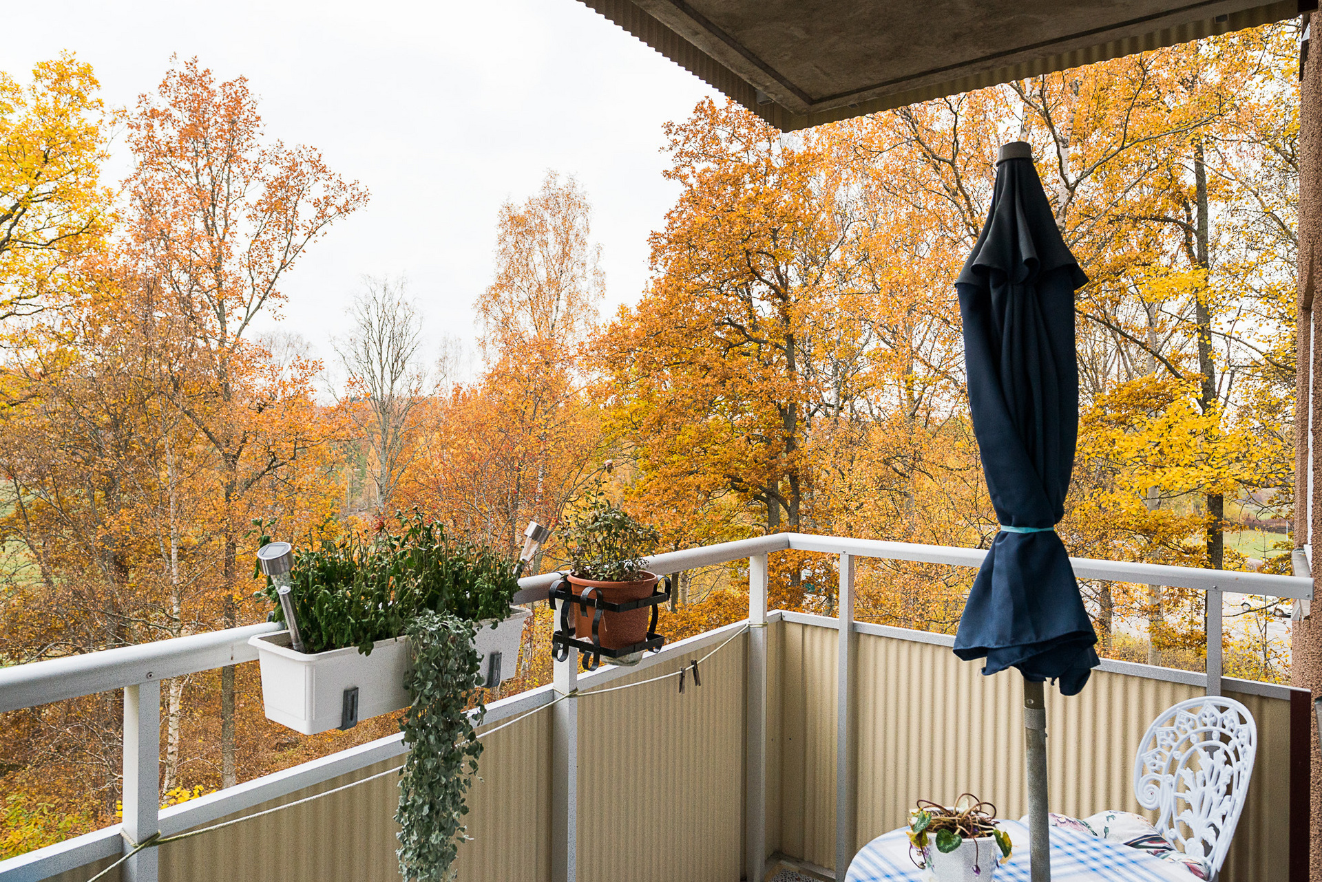 Nygatan 36 – bild 5