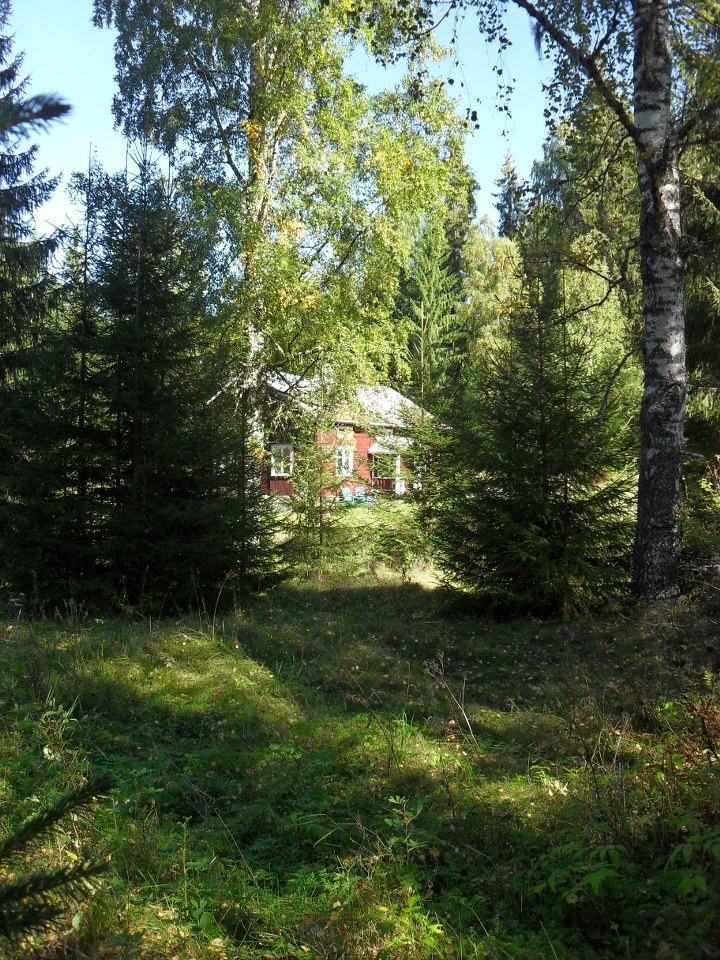 Bäck 125 – bild 3