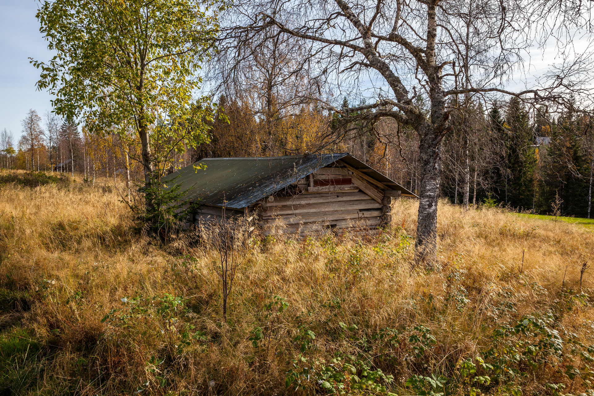 Skinnarbodarna 25 – bild 5