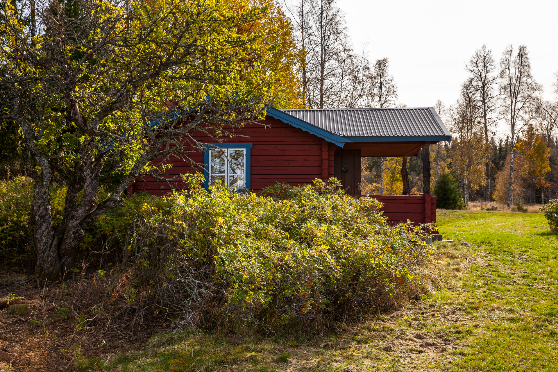 Skinnarbodarna 25 – bild 3