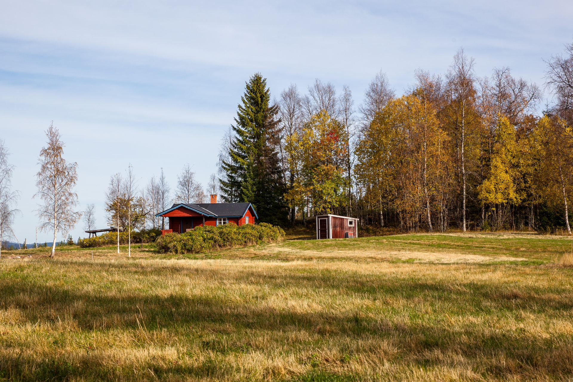 Skinnarbodarna 25 – bild 6