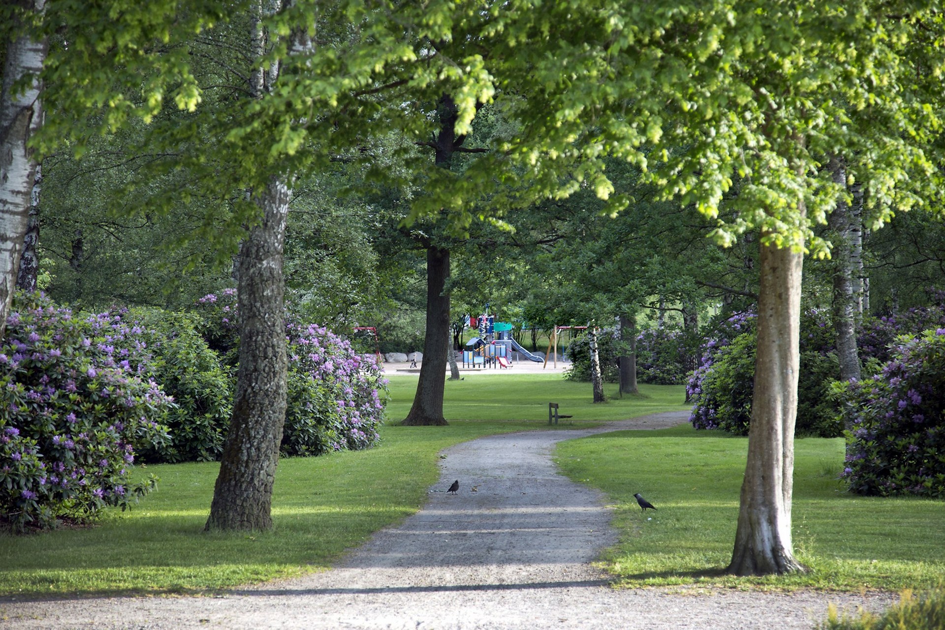 Högalidsgatan 3 – bild 4
