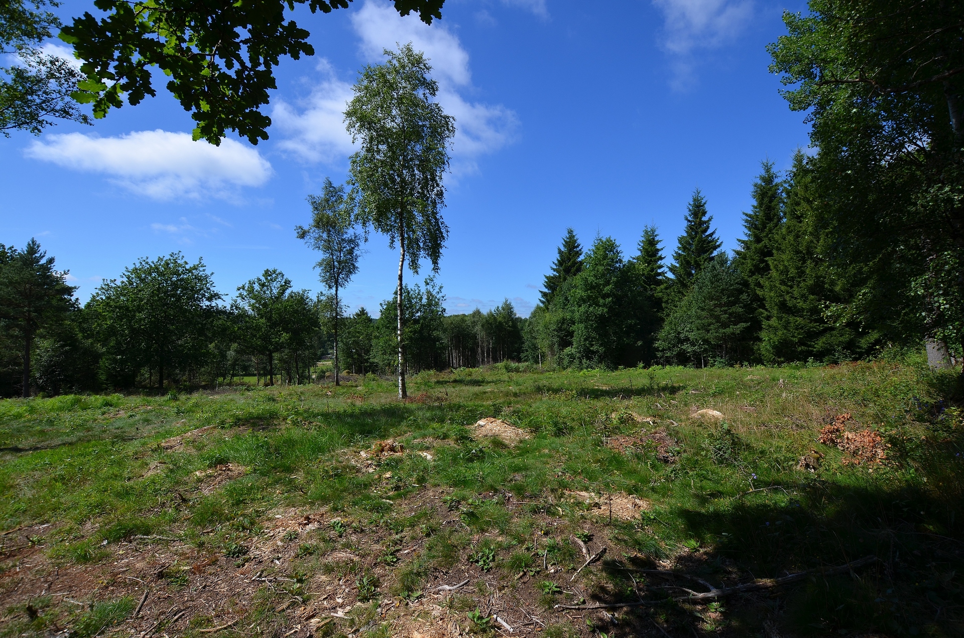 Relsbo Gård Tomt Nr 2 280 – bild 3