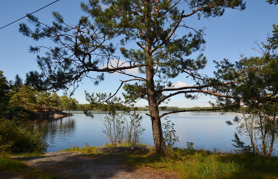 Relsbo Gård Tomt Nr 2 280 – bild 6
