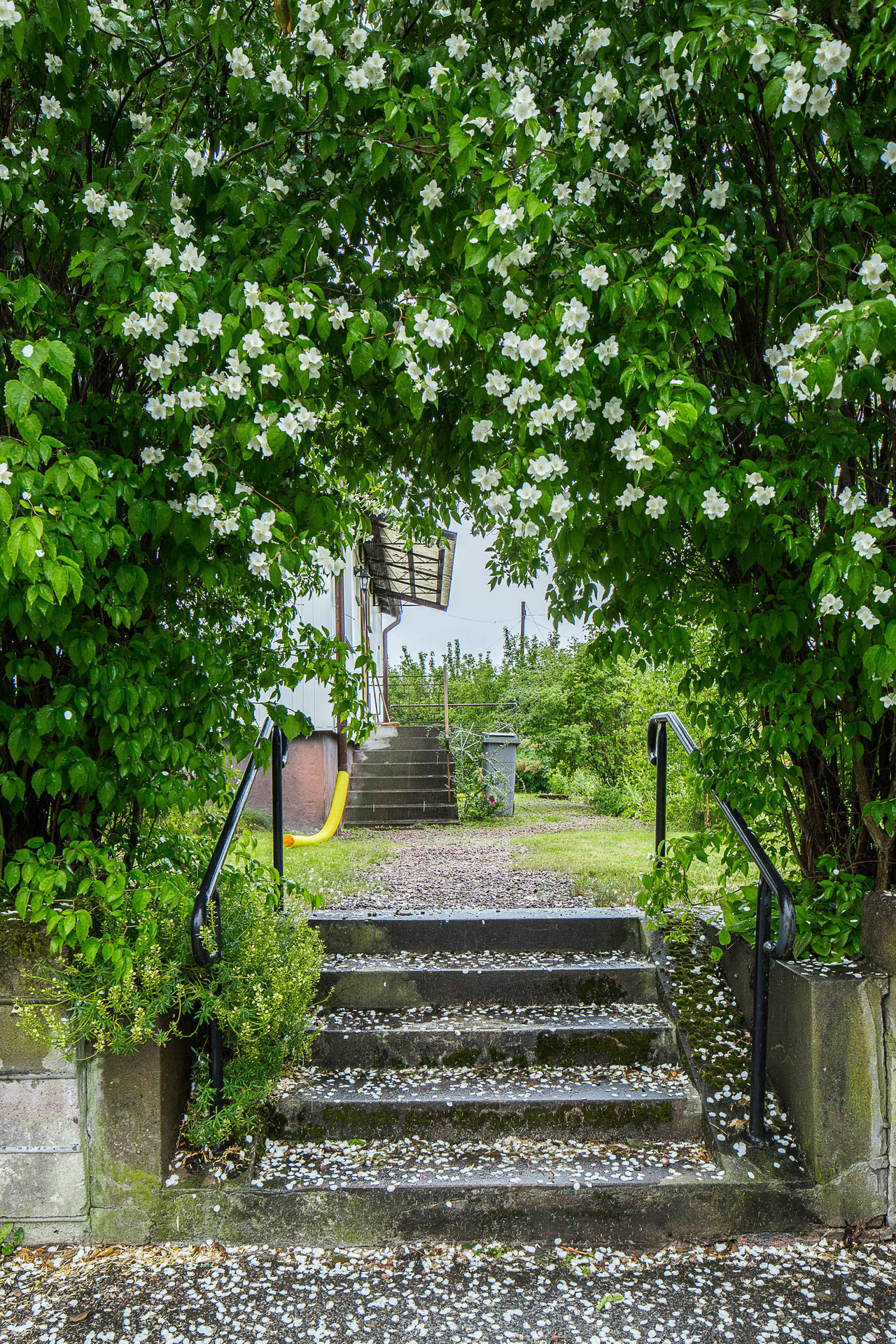 Björkvägen 2 – bild 3