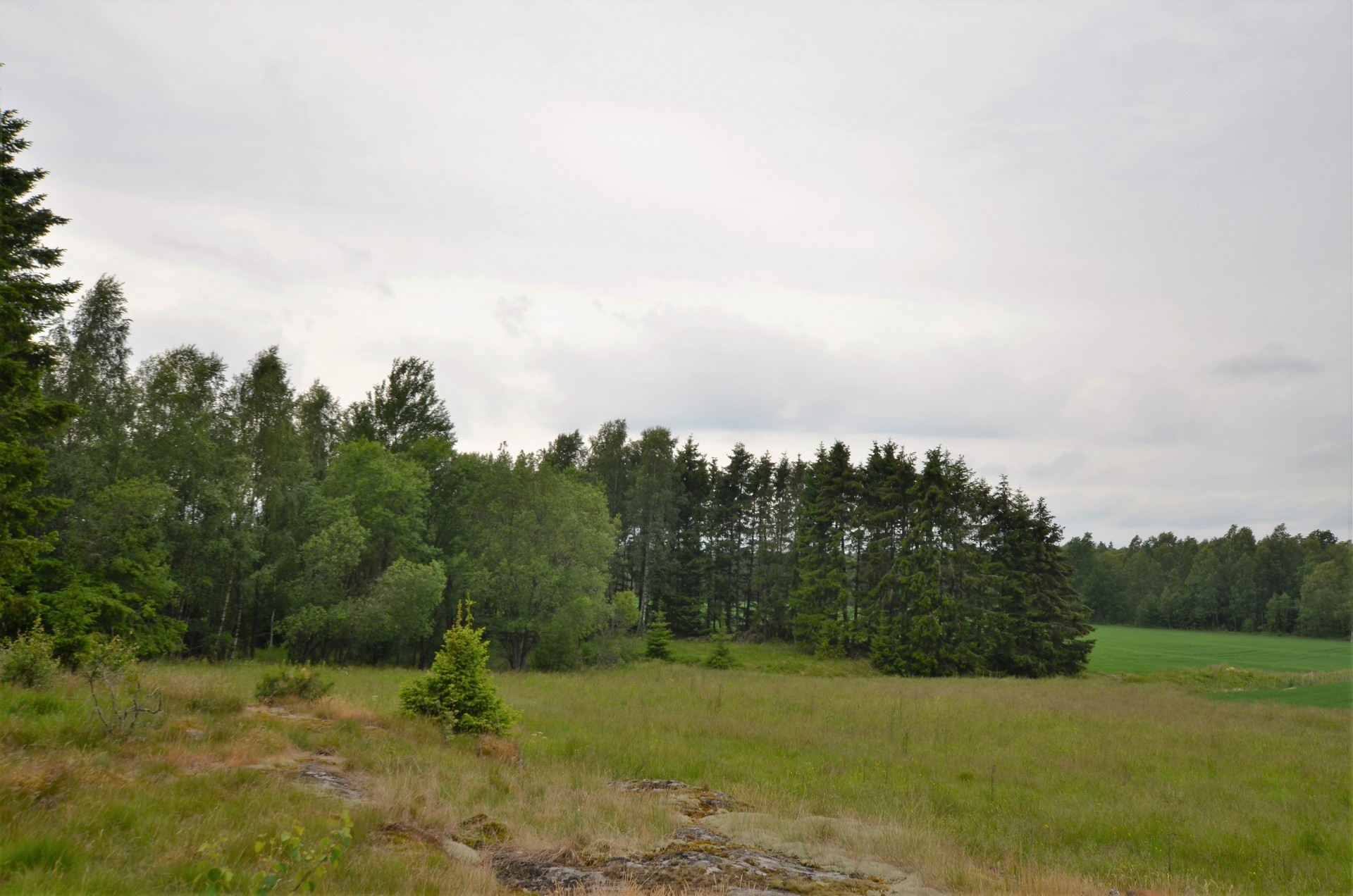Jonsängen 1:46 – bild 3