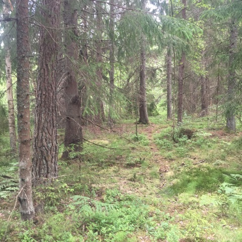Jonsängen 1:46 – bild 4