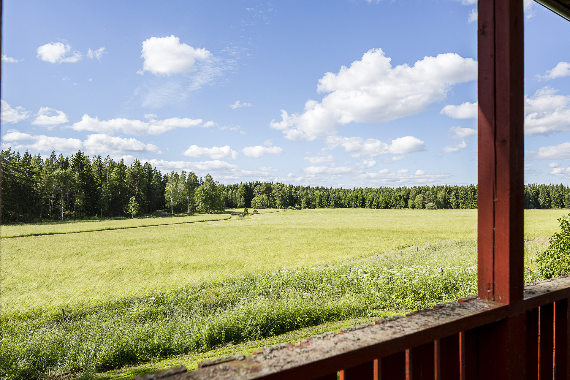 Skogbo 171 – bild 8