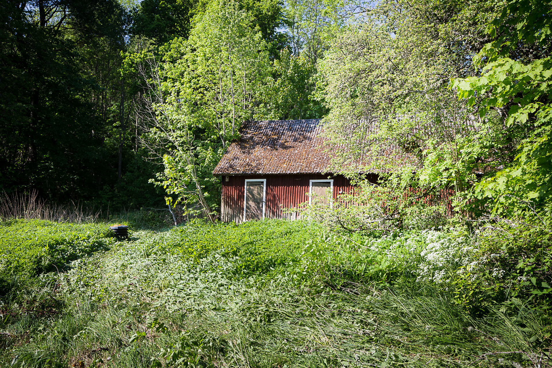 Flatehult 401 – bild 4