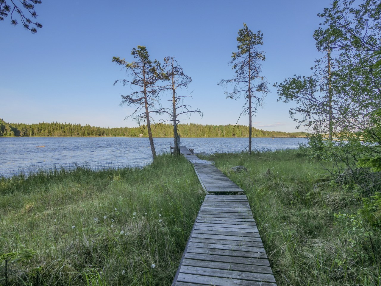 Ölme Sandviken 1 – bild 8