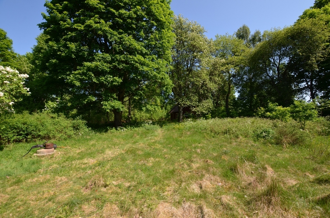 Tånnö Älmesdal – bild 4