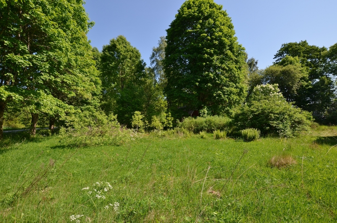 Tånnö Älmesdal – bild 6