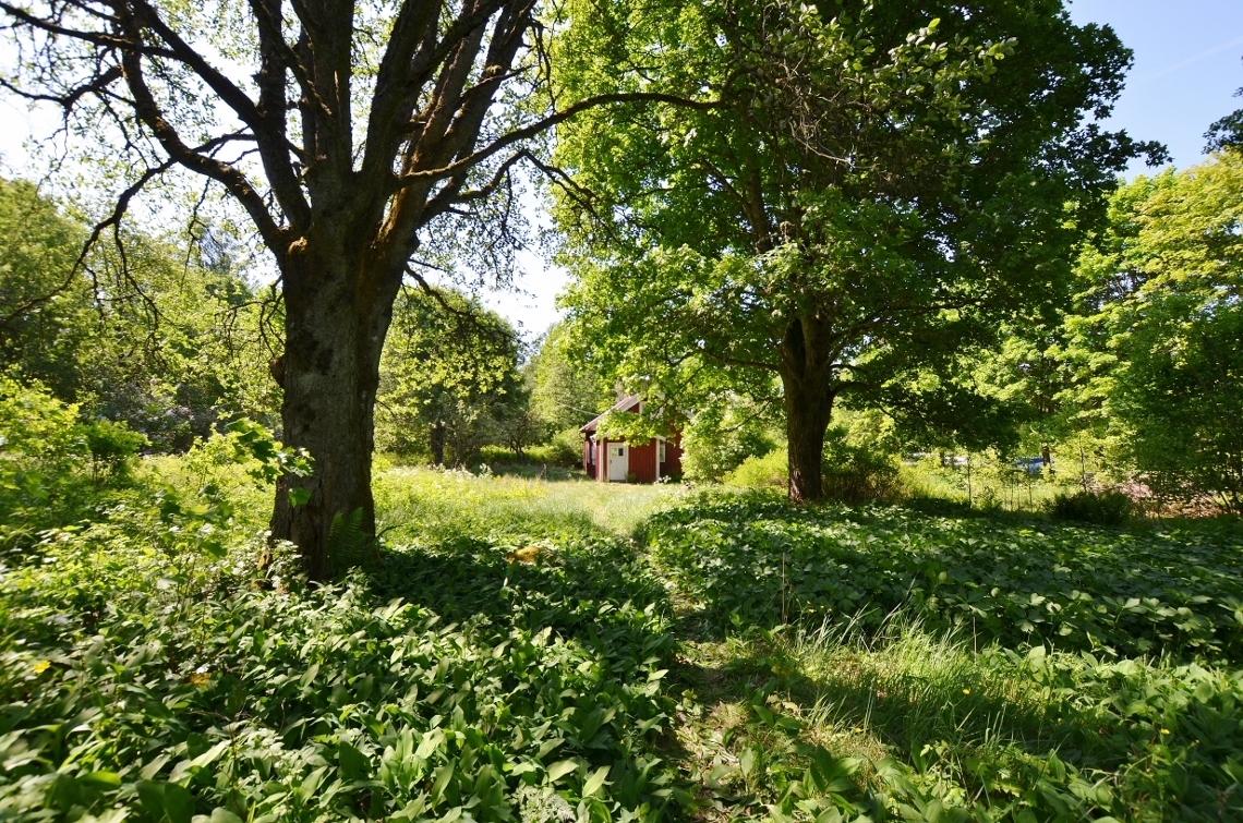 Tånnö Älmesdal – bild 8