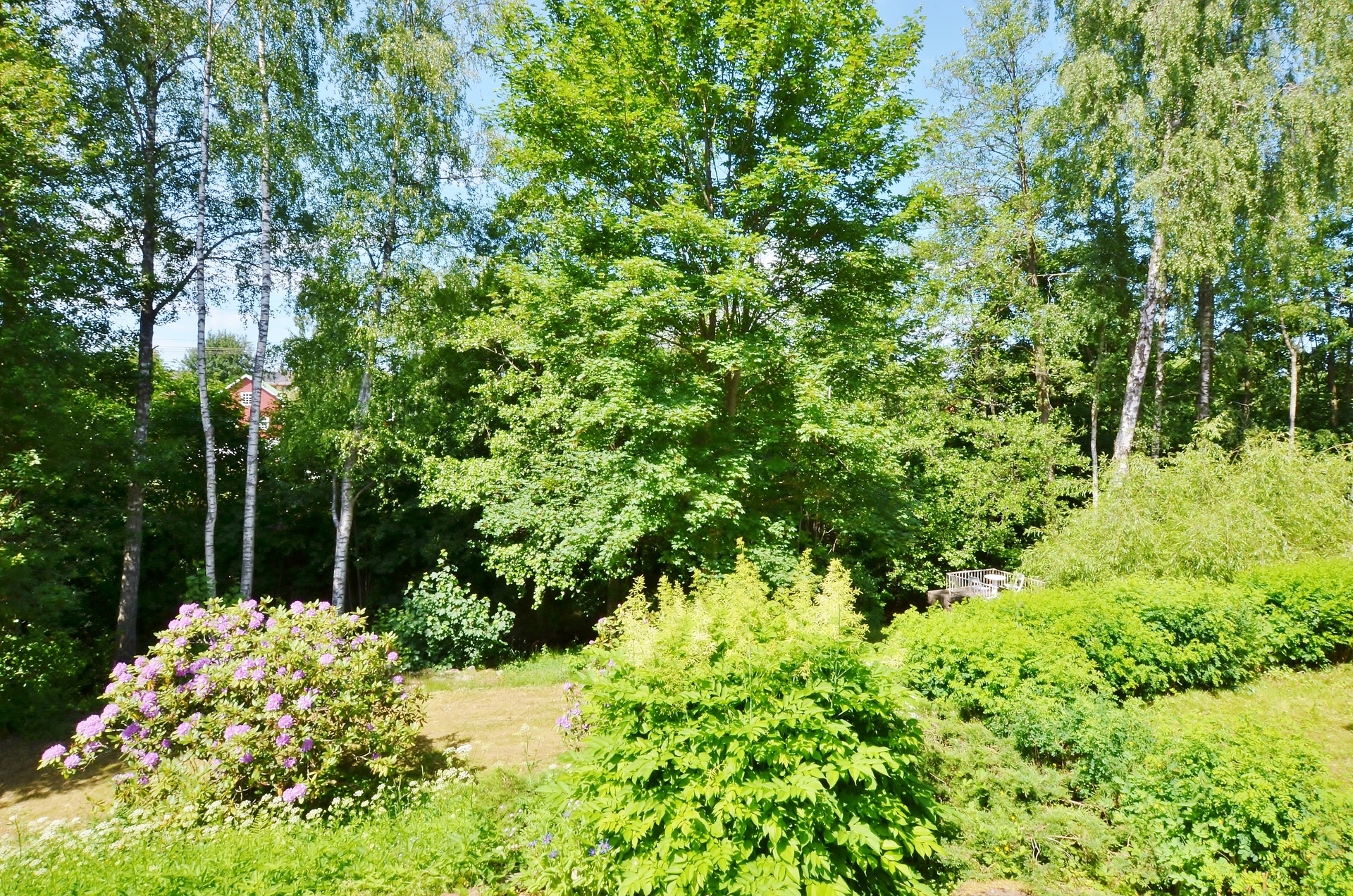 Gnubbarp 326 – bild 8