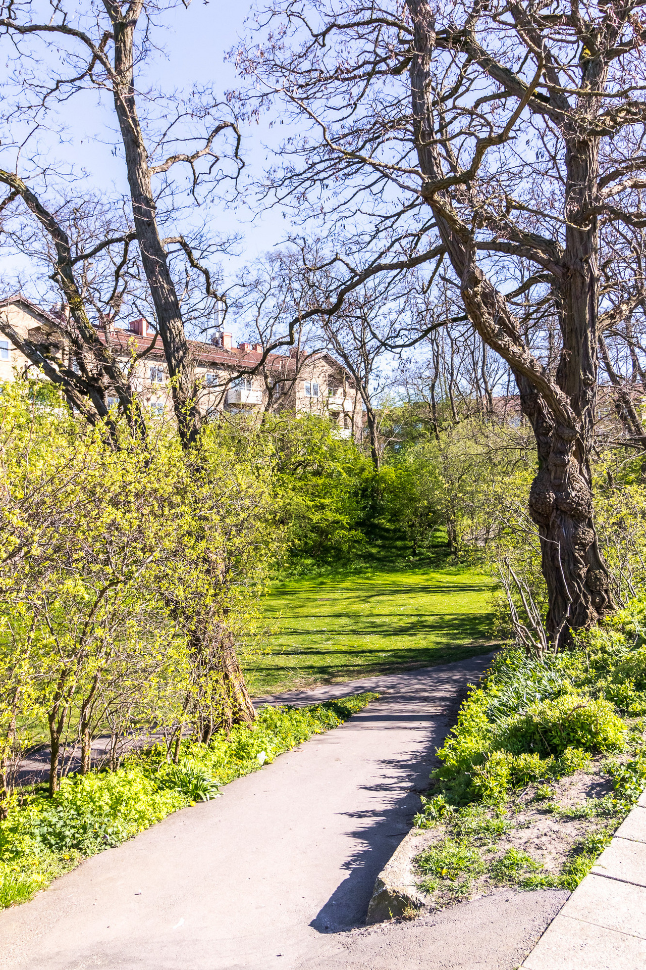 Sperlingsgatan 7 C – bild 4