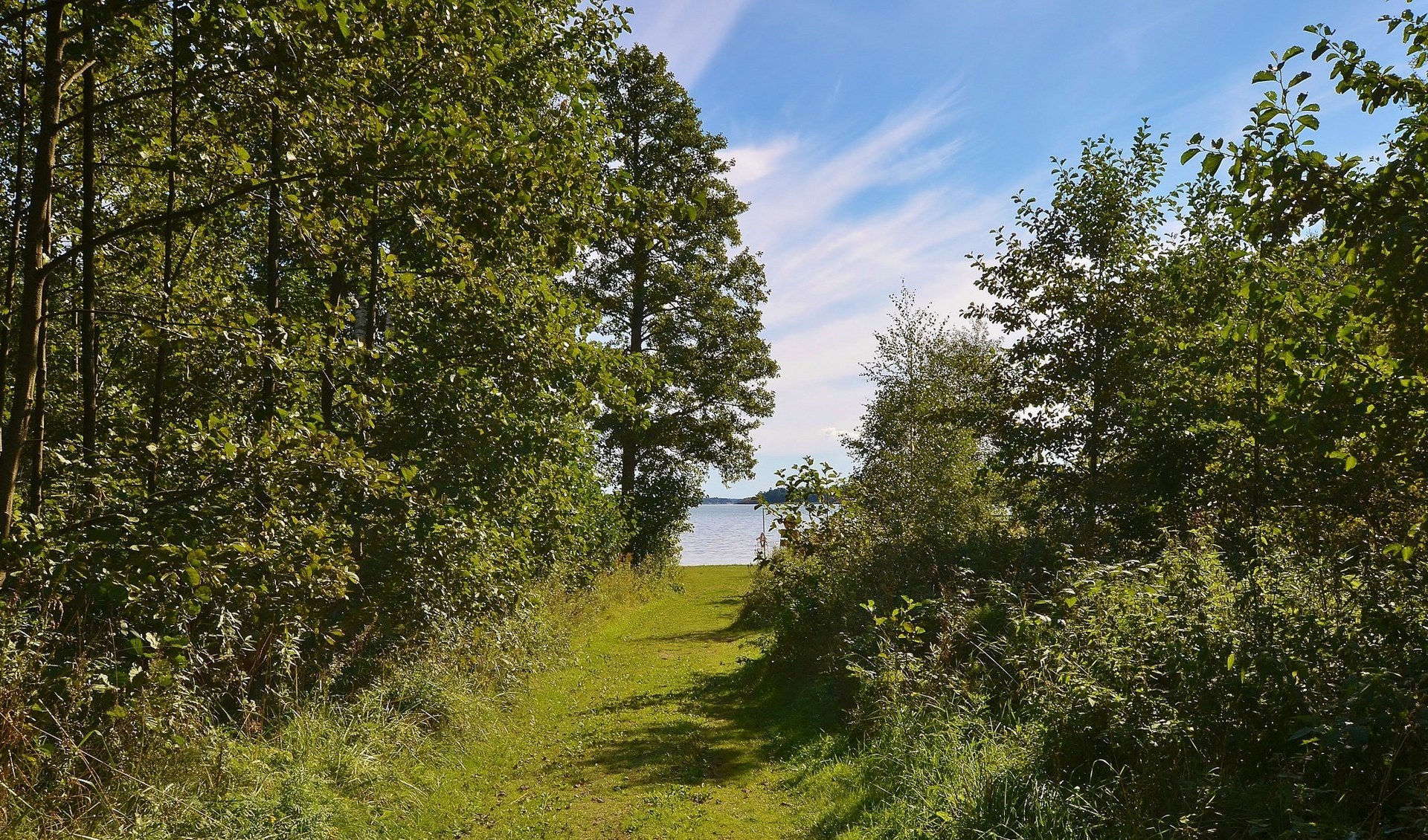 Åda Backar 15 – bild 6