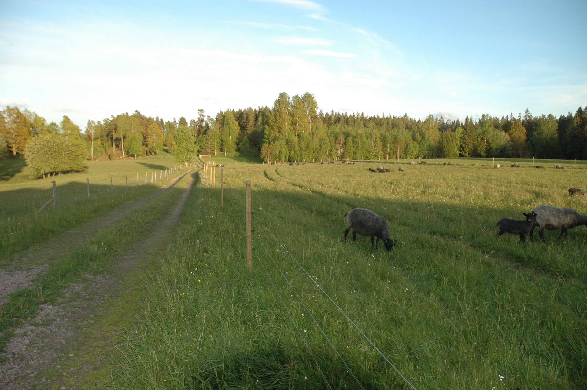 Södraskog 5 – bild 3
