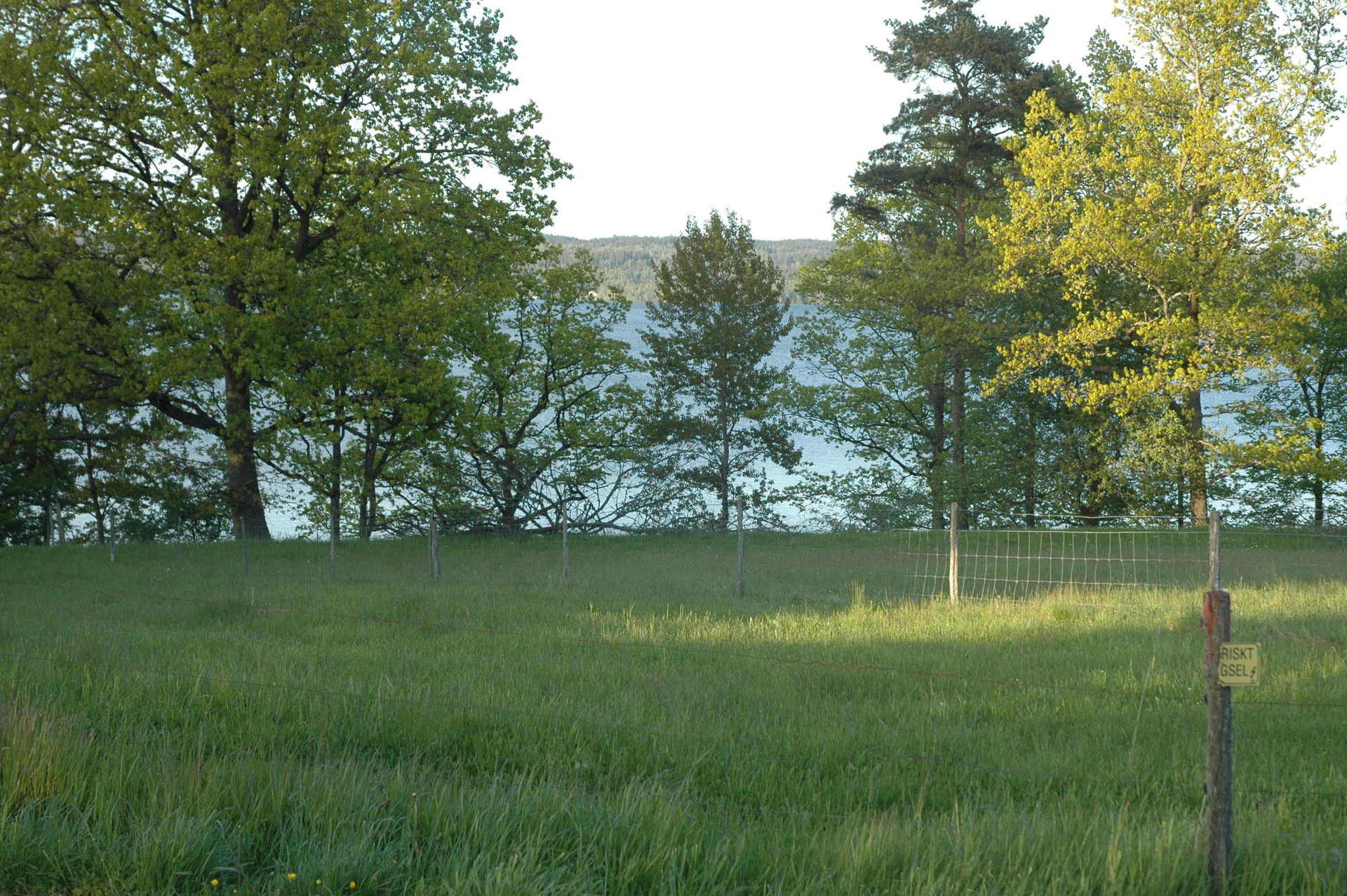 Södraskog 5 – bild 4