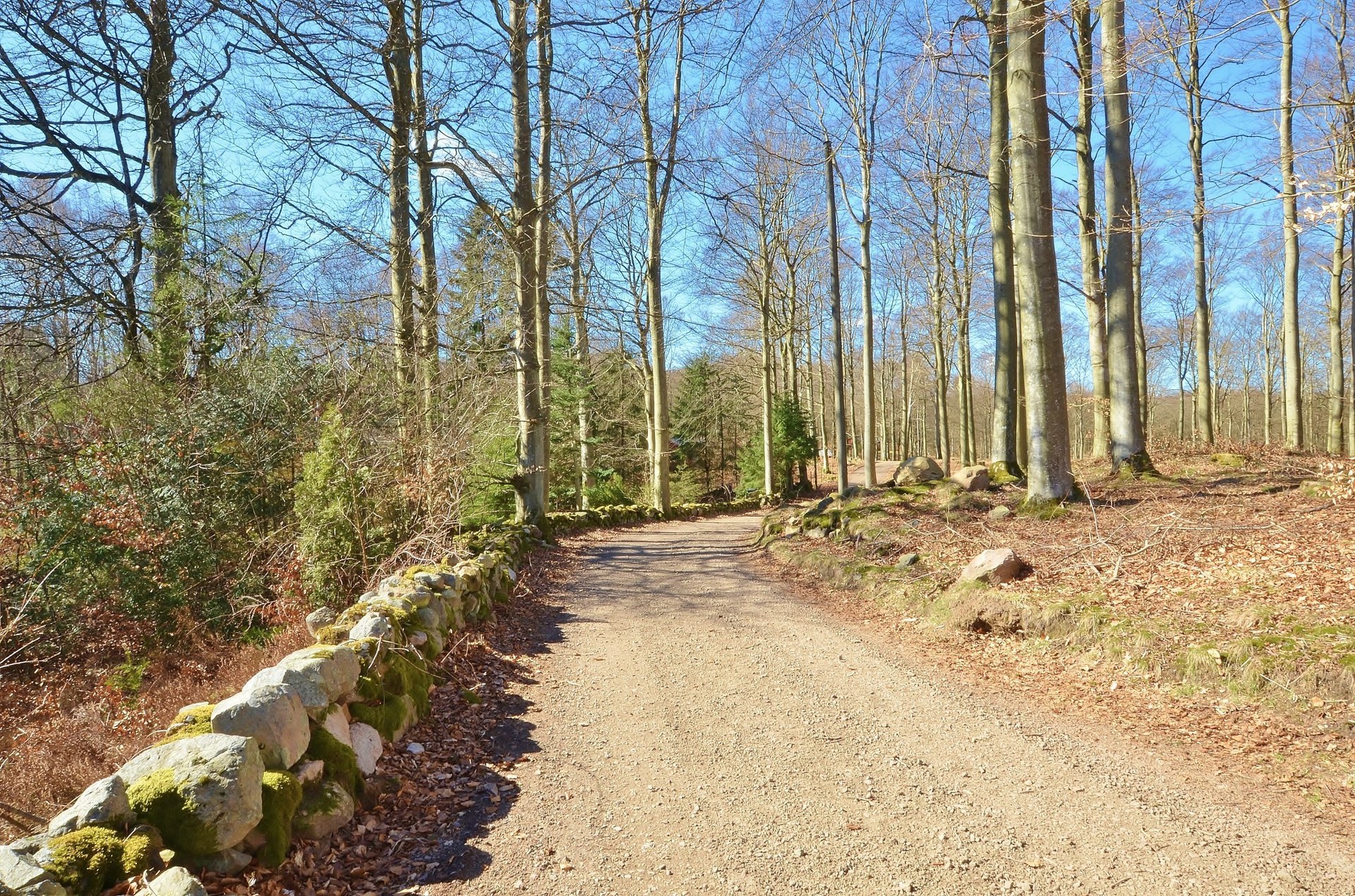 Norreskogsvägen 80-11 – bild 7