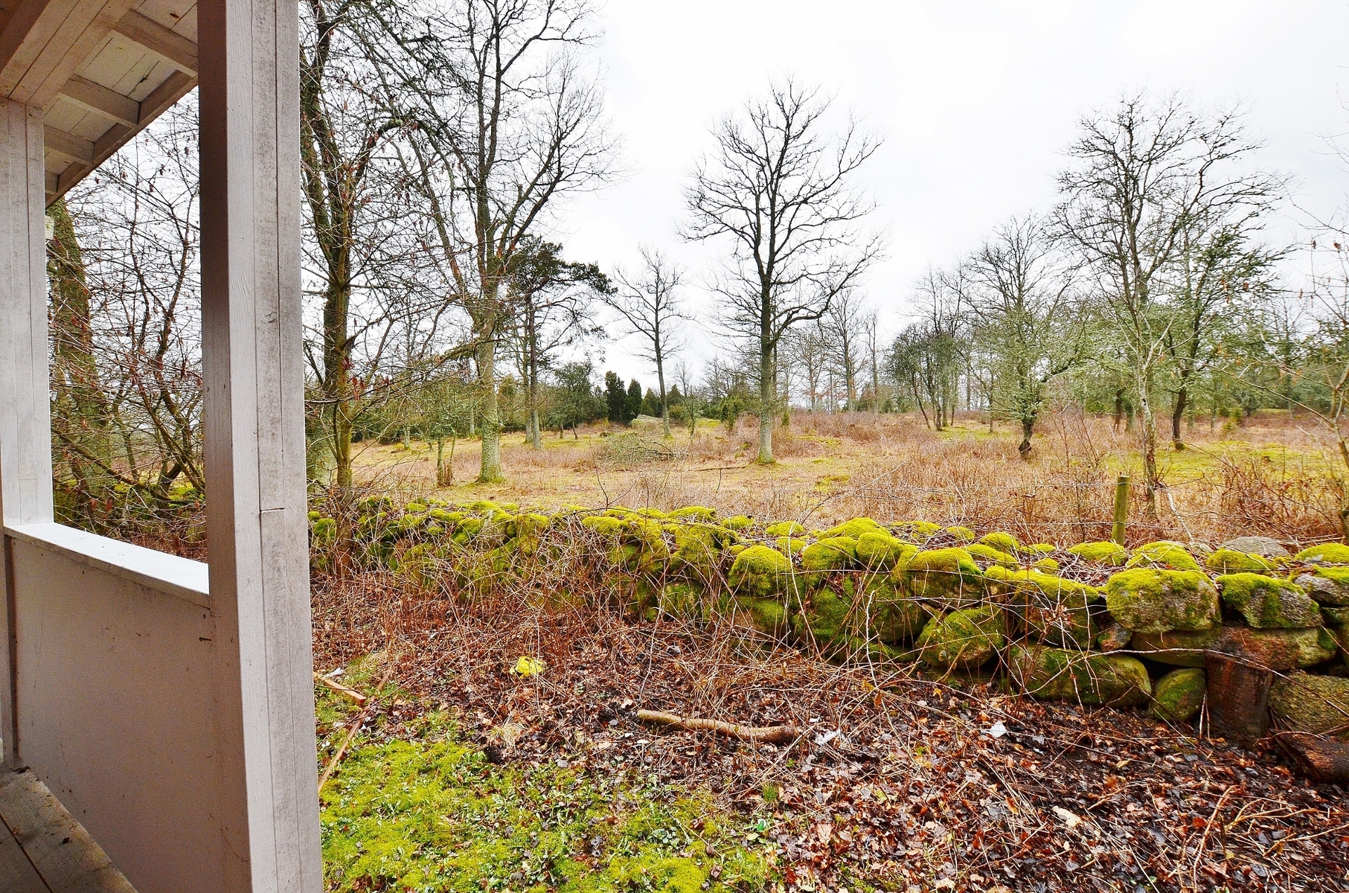 Viken 8 – bild 6