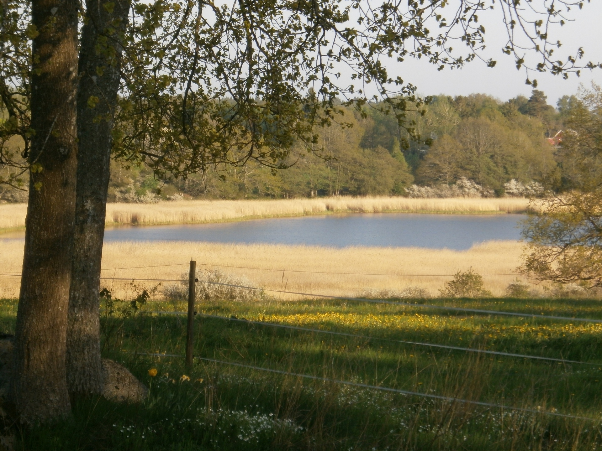 Viken 8 – bild 7