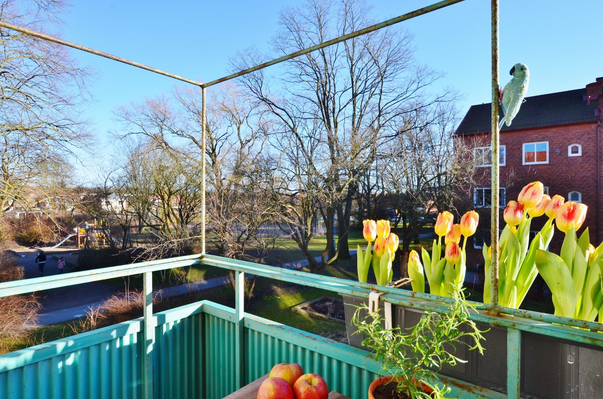 Vintergatan 3 C – bild 5