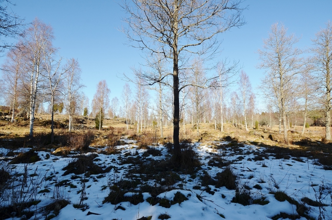 Bostad – bild 8