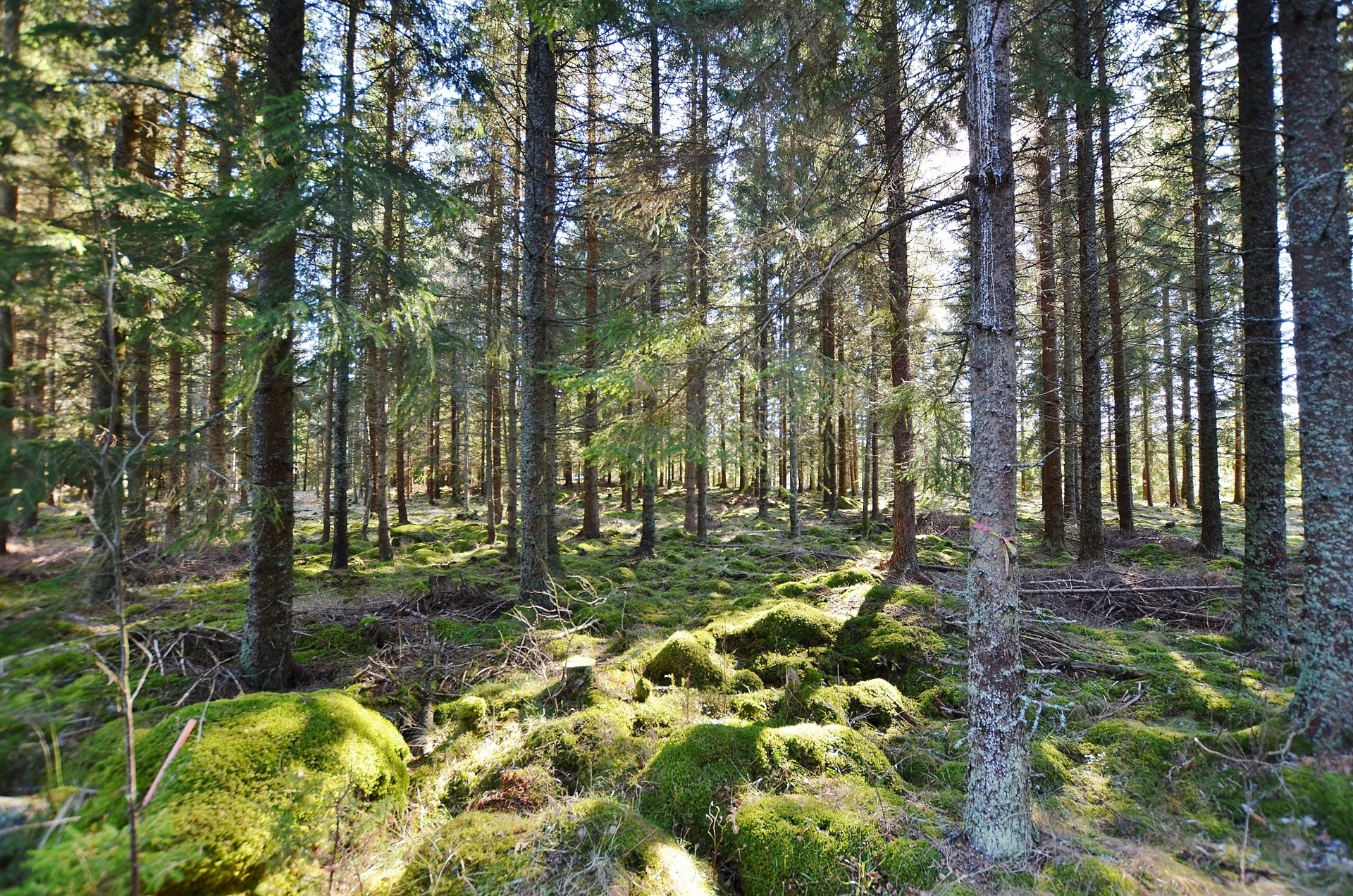 Bostad – bild 3