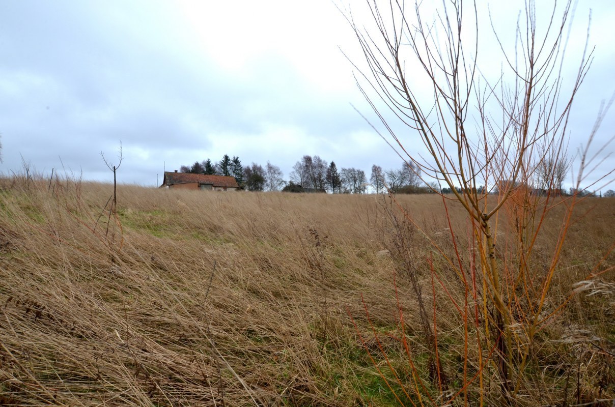 Ryngevägen 251 – bild 8