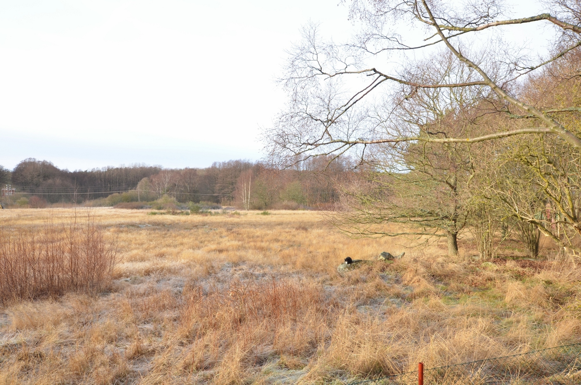 Hornuddavägen 67 – bild 7