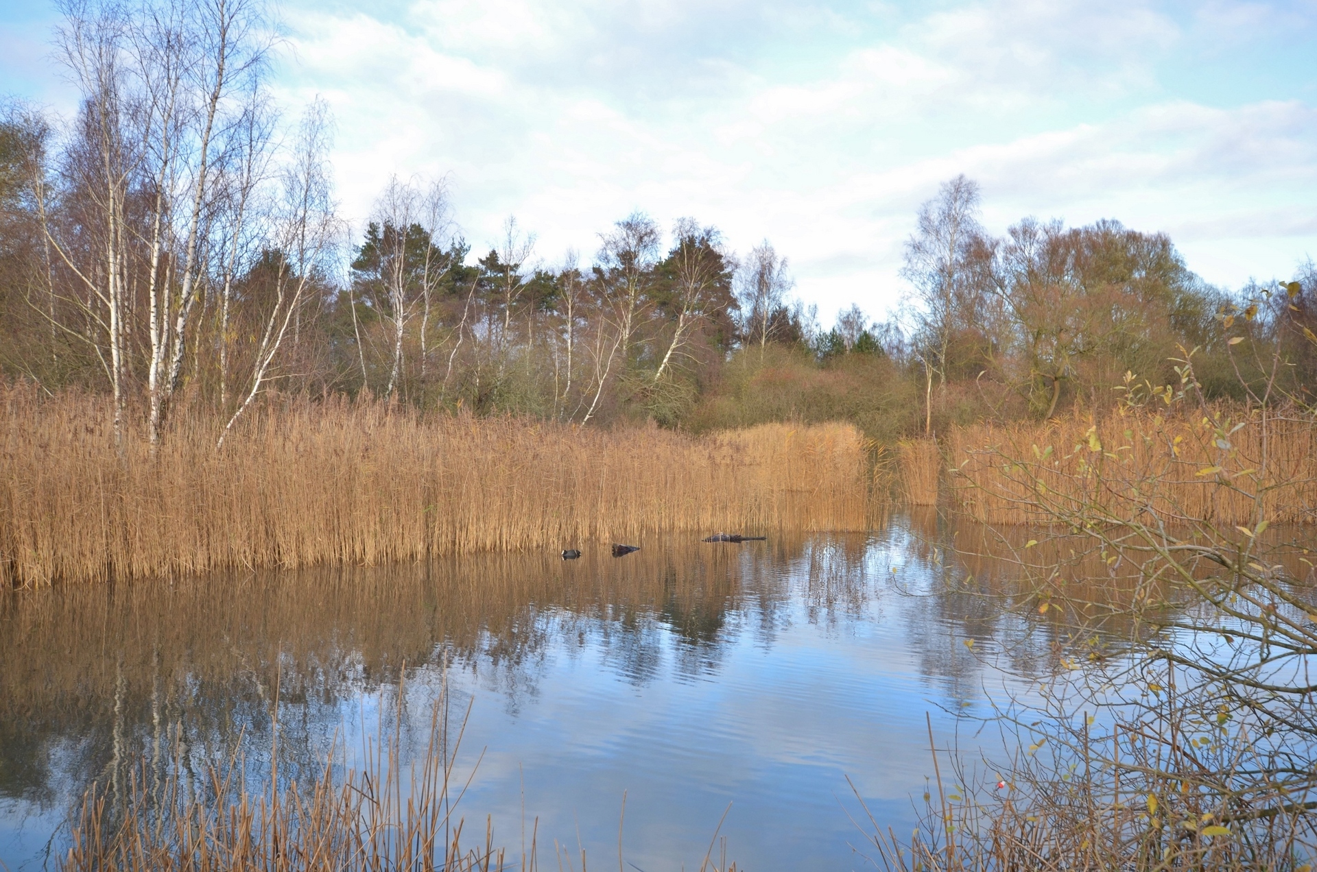 Södra Ljungvägen 35 – bild 4