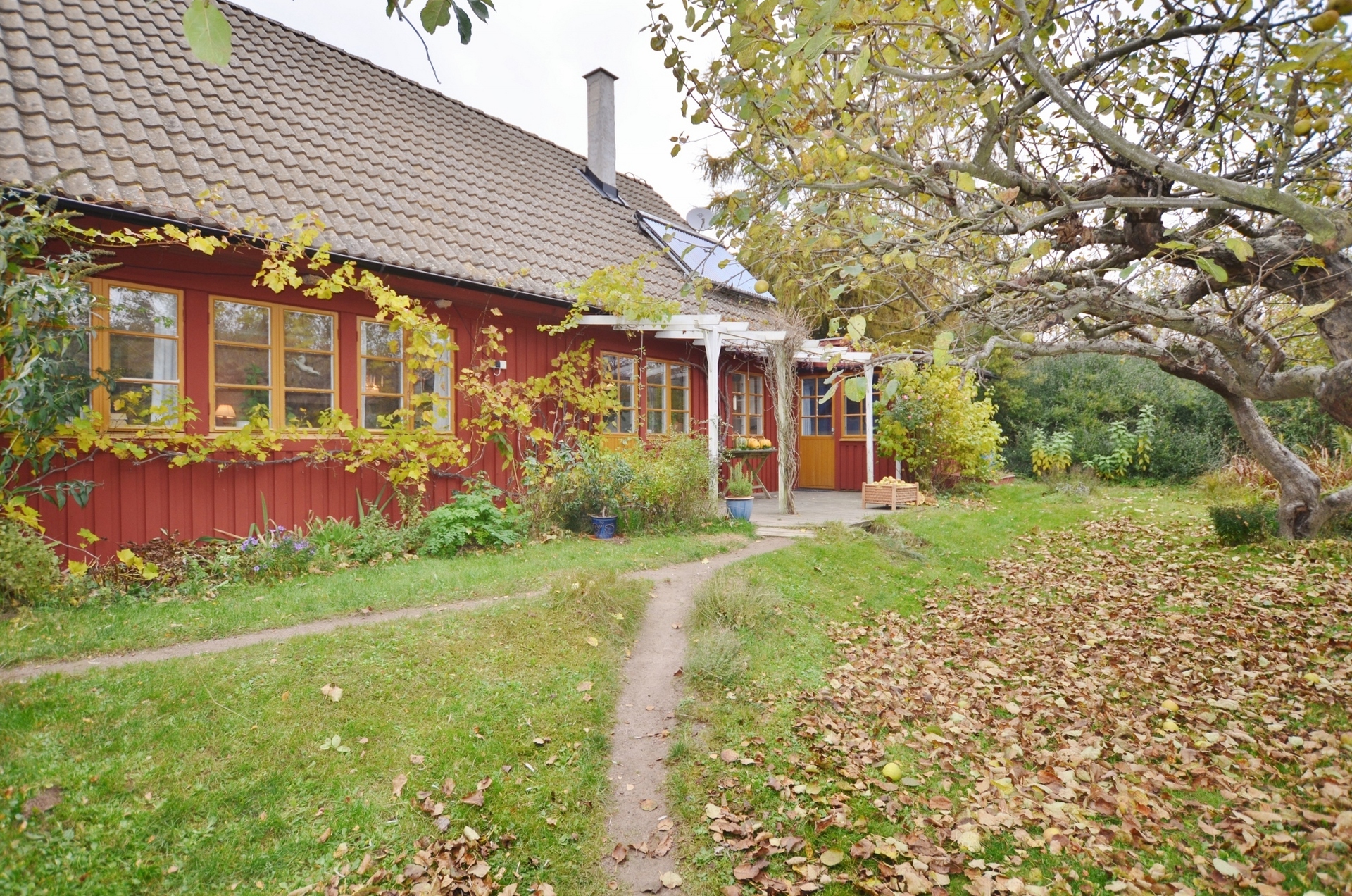 Skräddaröd 151 – bild 4