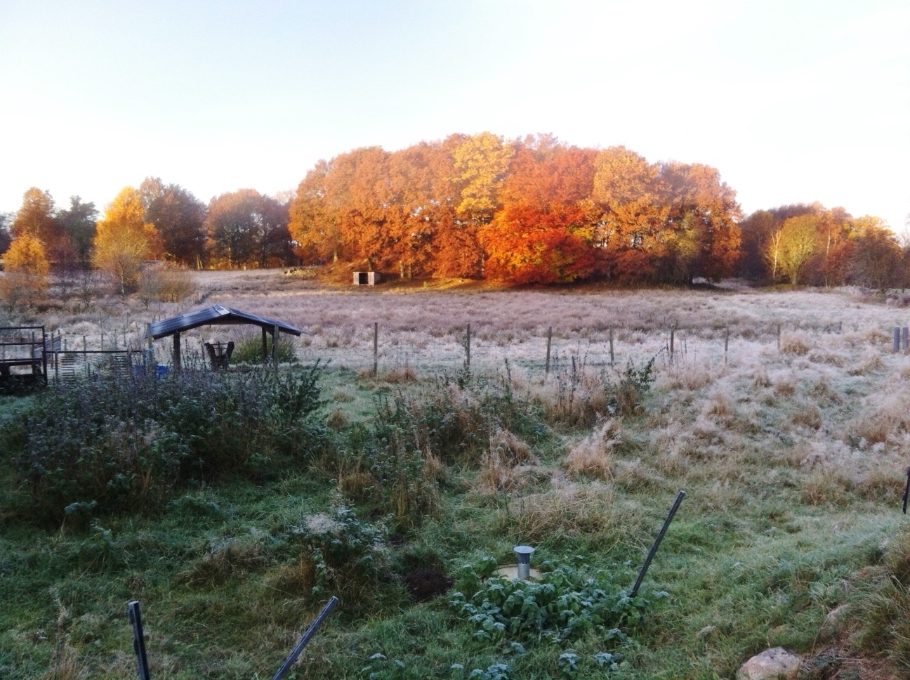 Gashult Norrgård 5 – bild 8