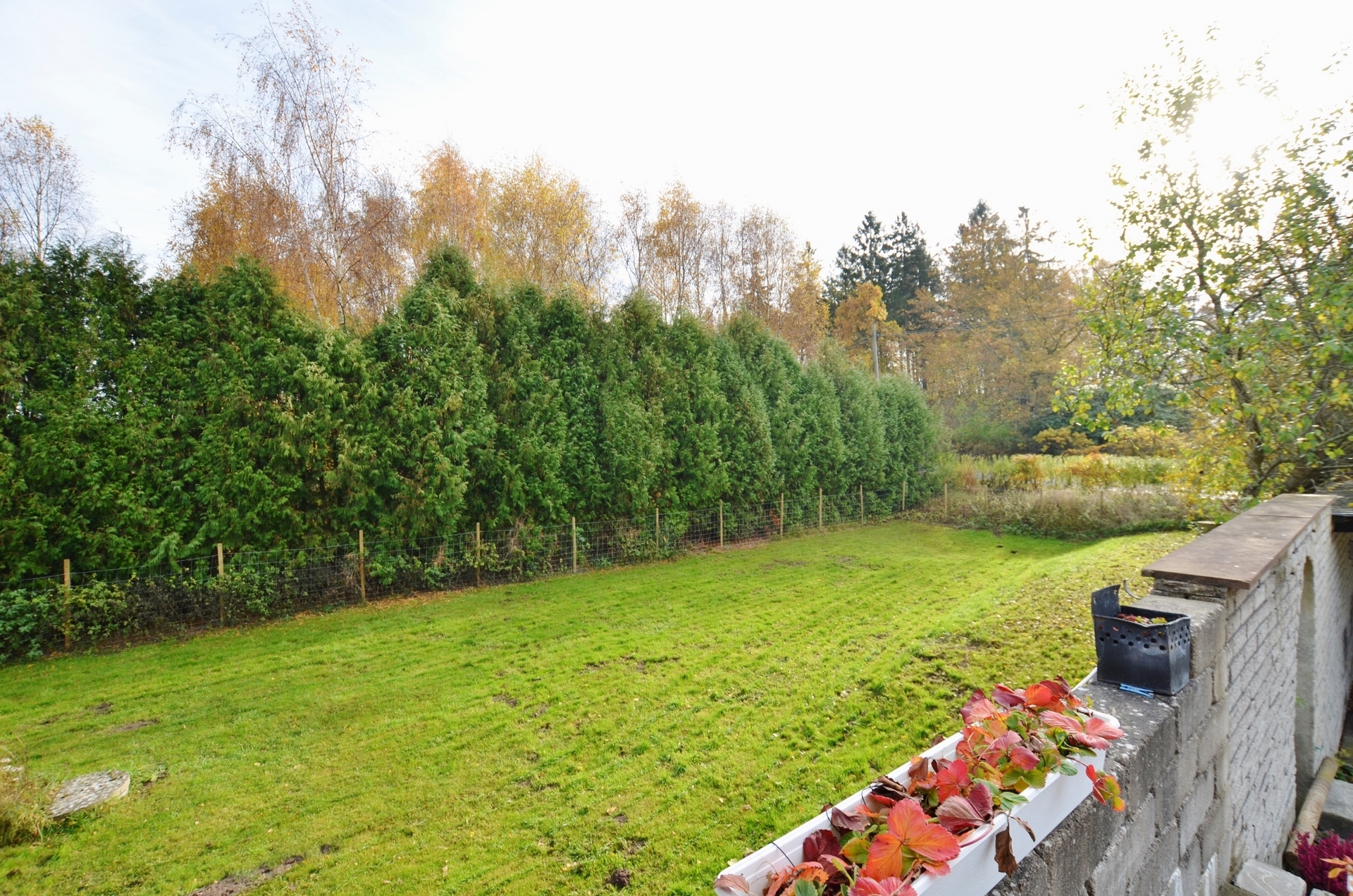Ignaberga-Troedstorp 7009 – bild 5