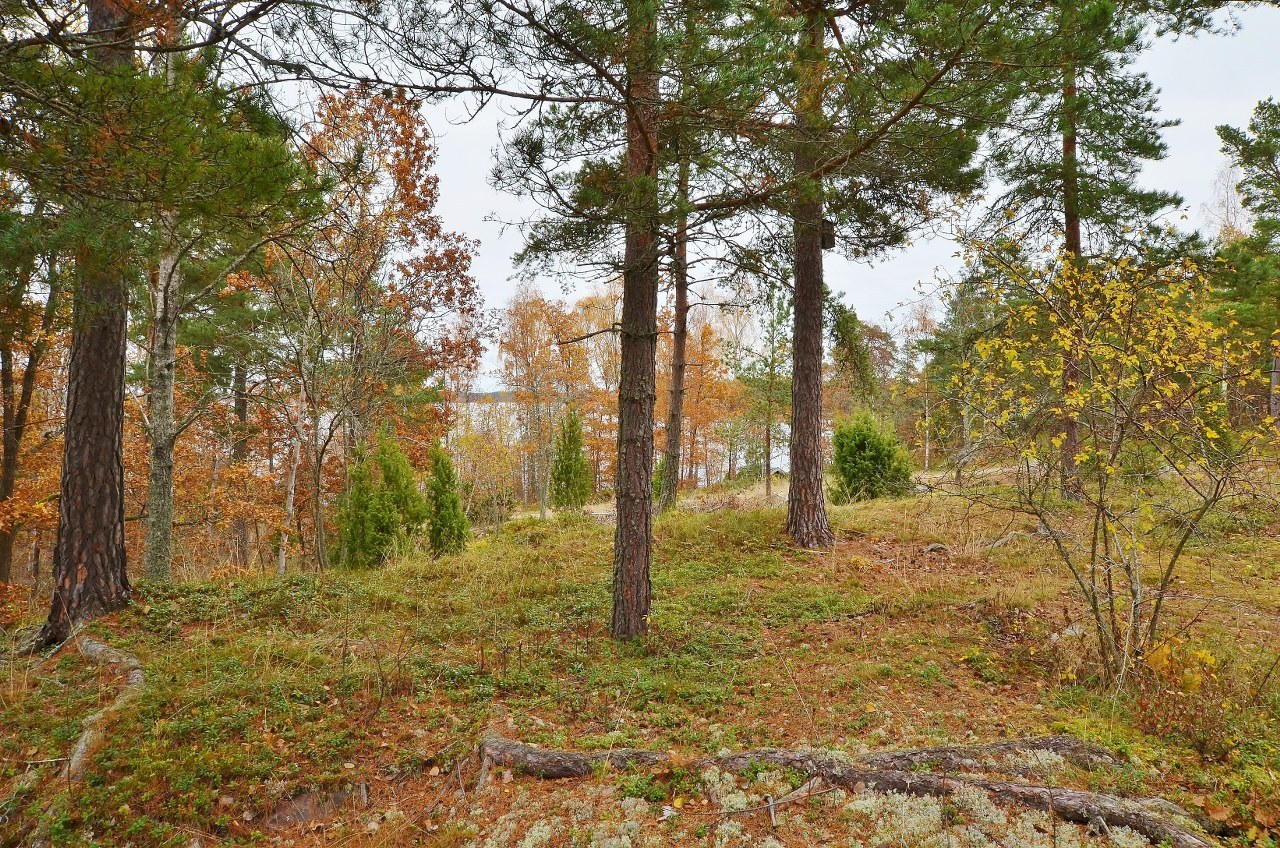 Lundbyslingan 24 – bild 4