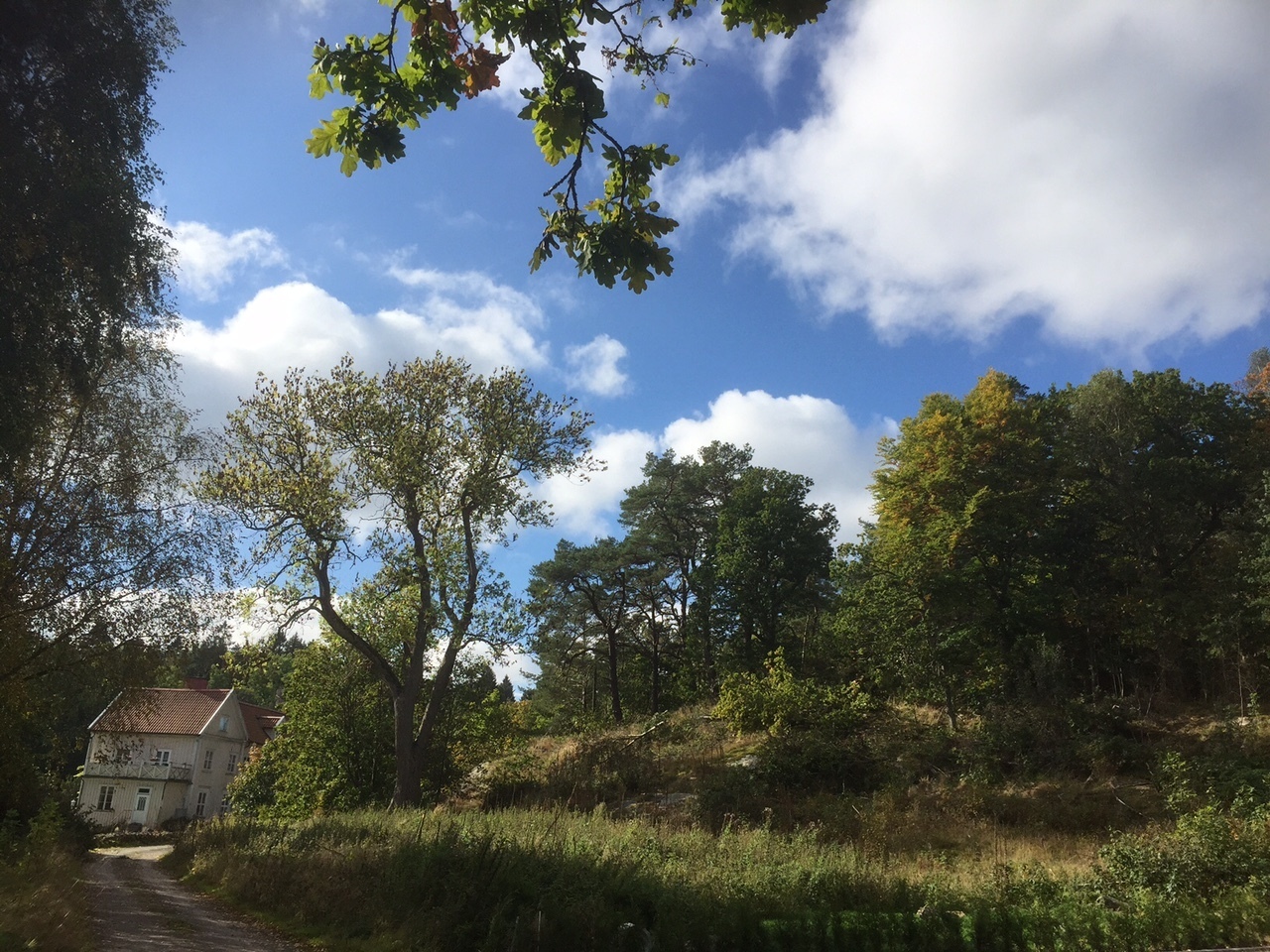 Von Seths gata 19 – bild 5
