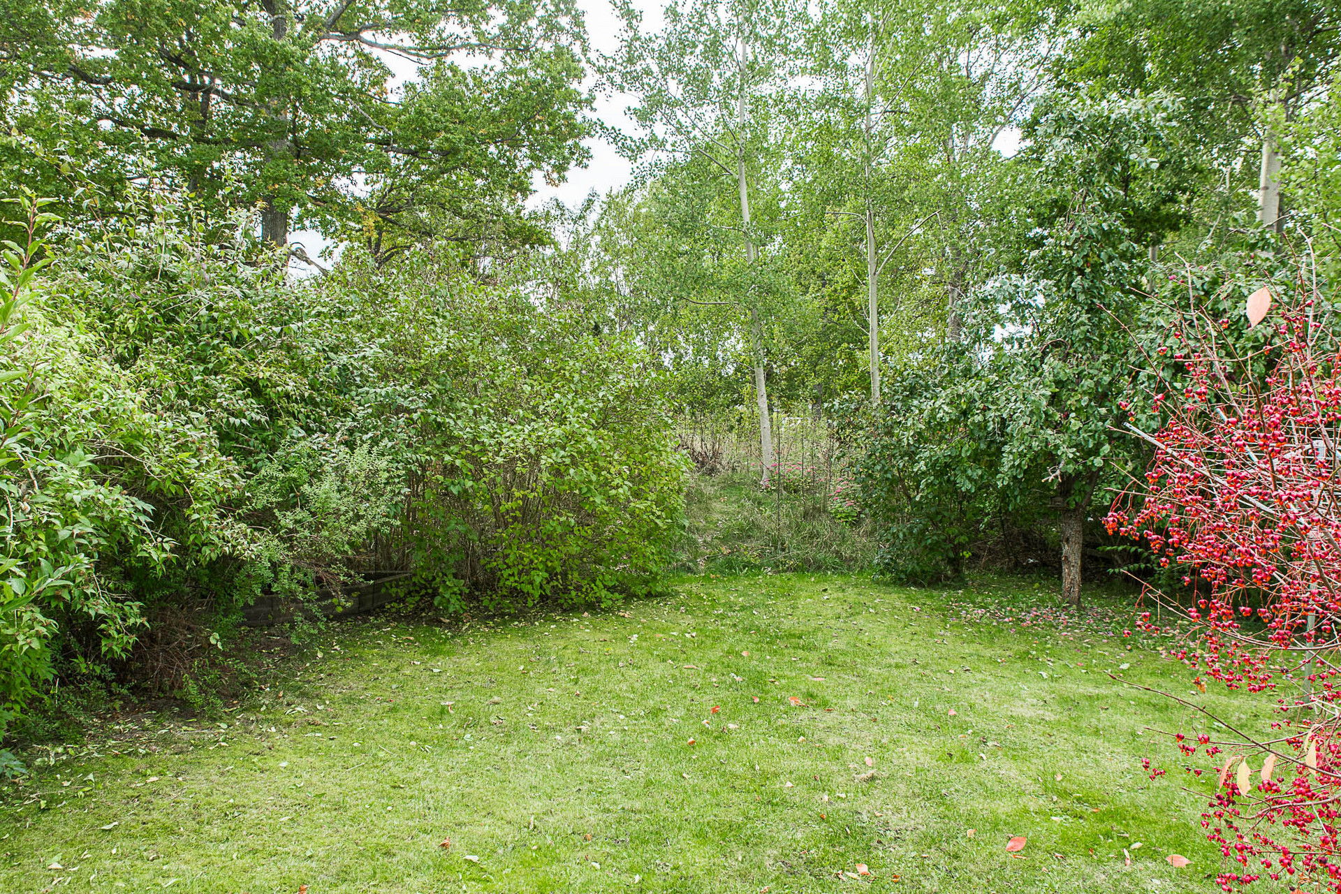 Vädergatan 30 – bild 6