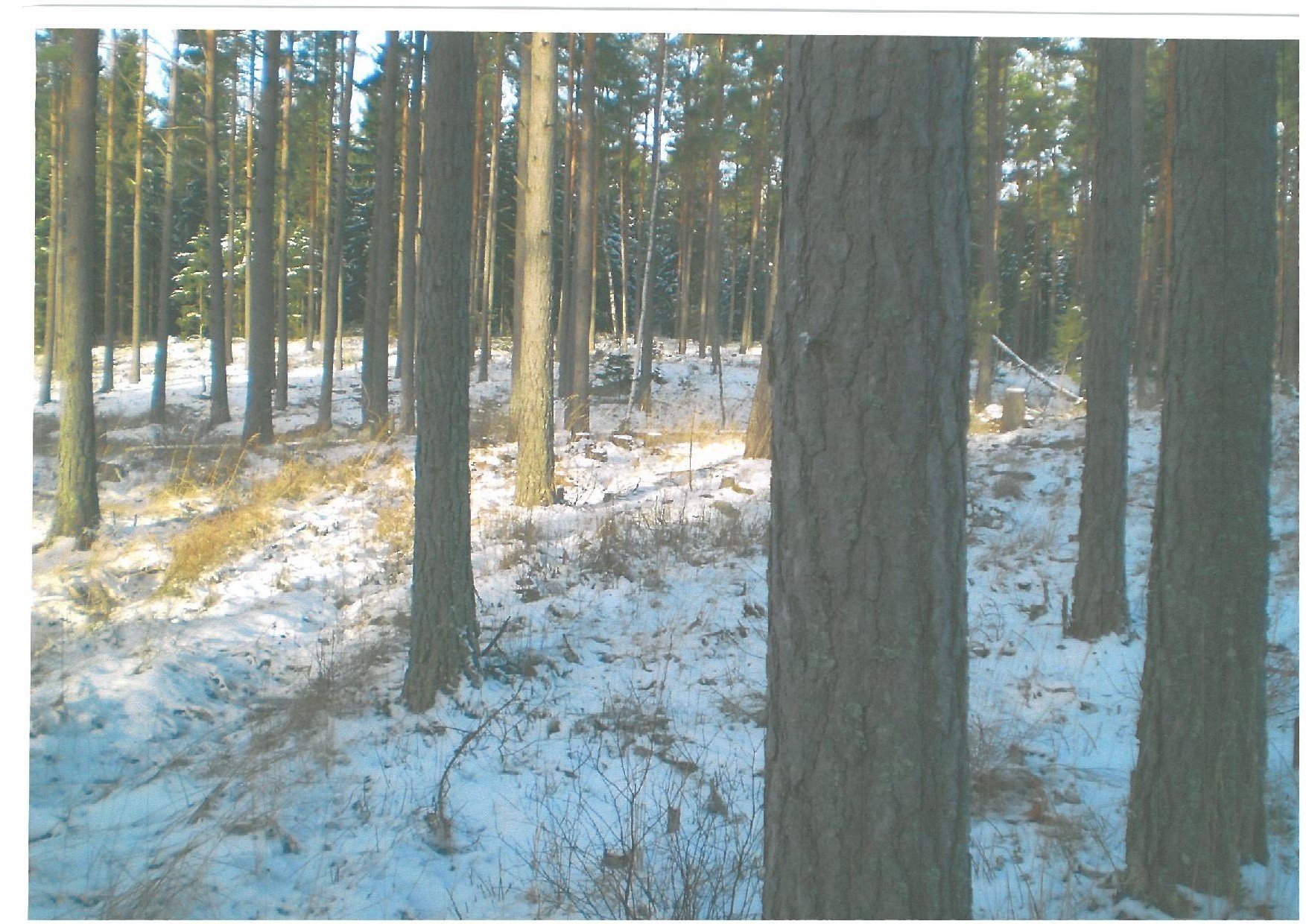 Uppsalavägen 342 – bild 6