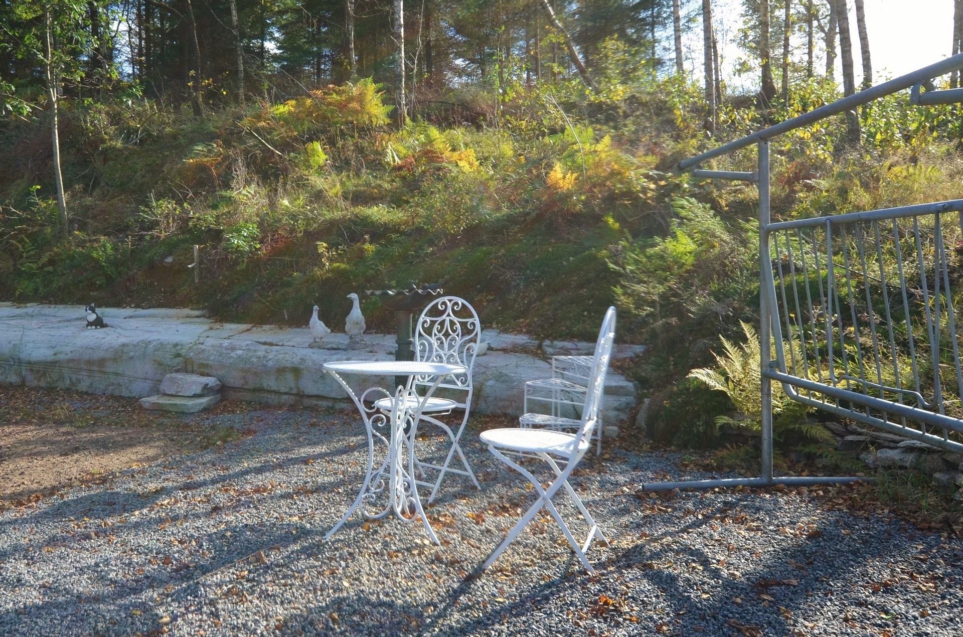 Lillaskog Brandskog – bild 4