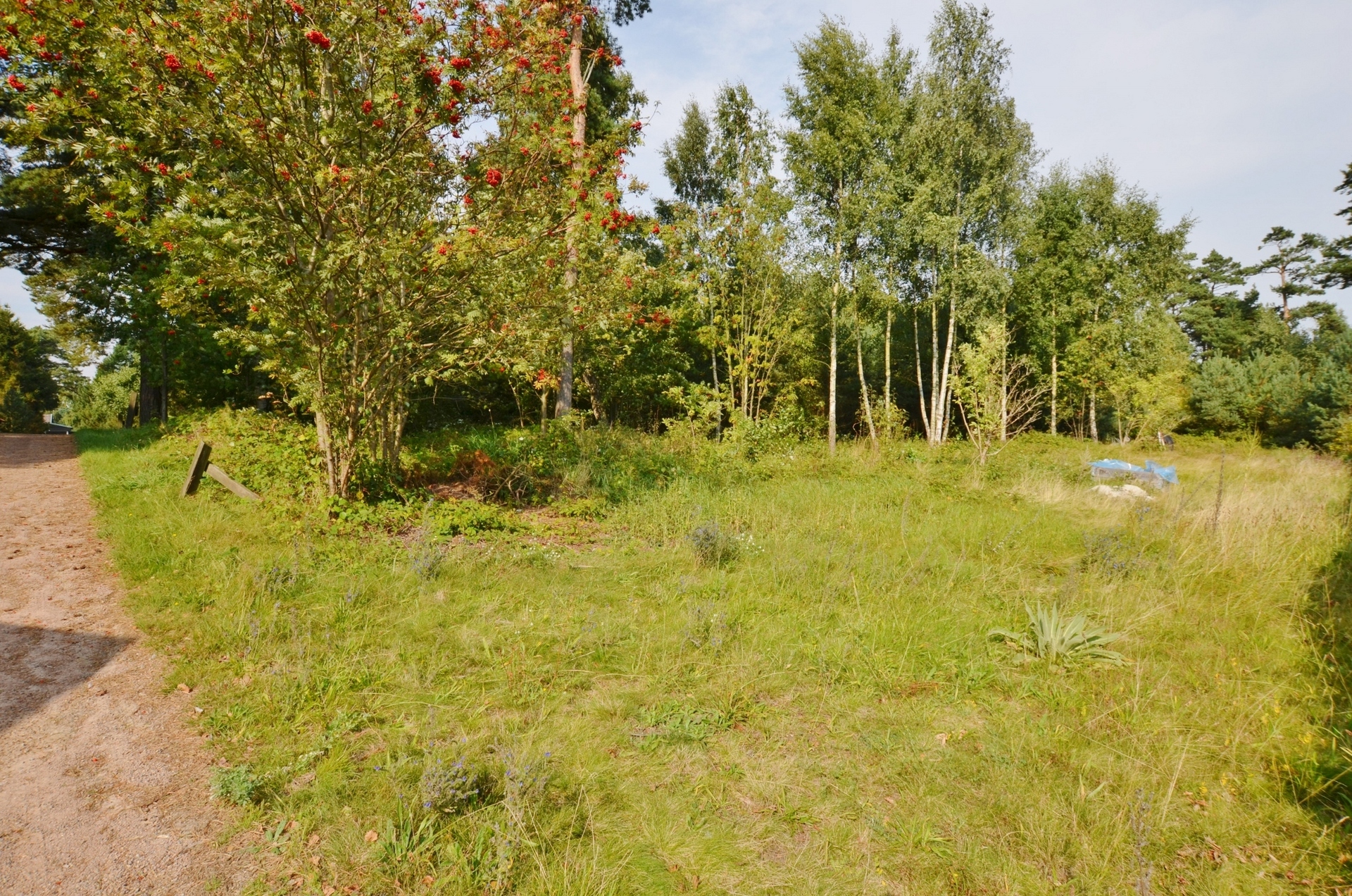 Skalbaggevägen 3 – bild 4