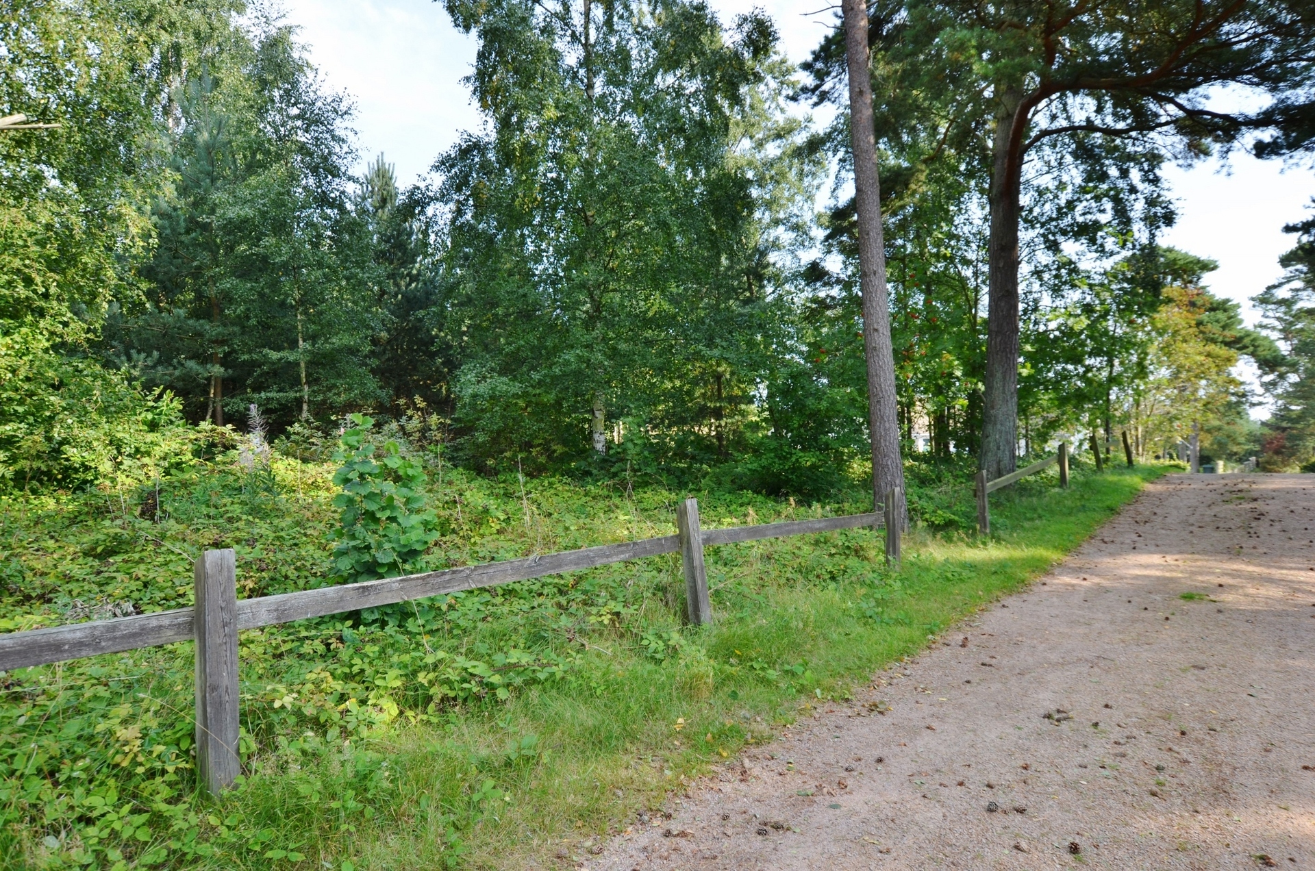 Skalbaggevägen 3 – bild 3