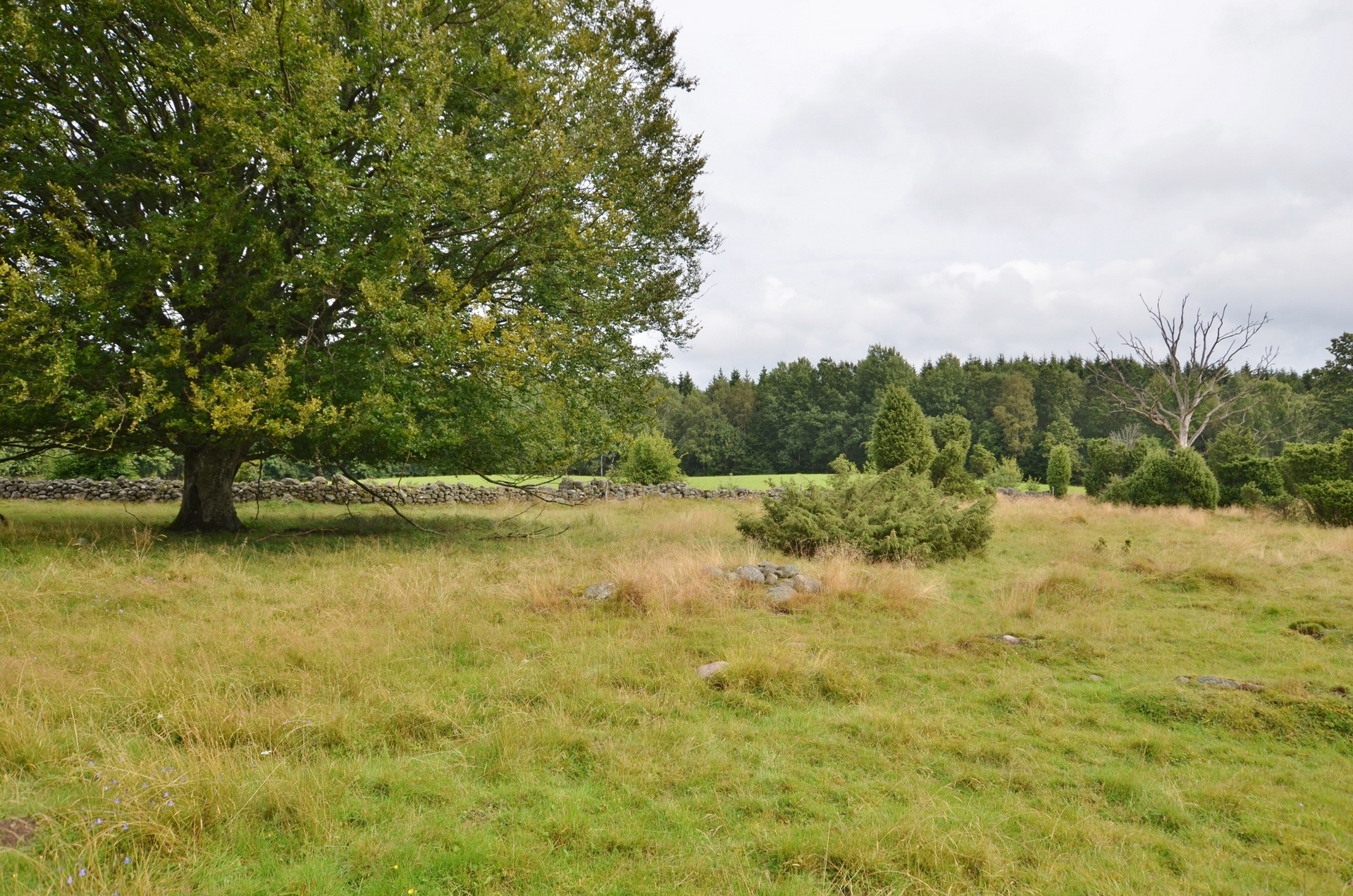 Lindhaga 10 – bild 3