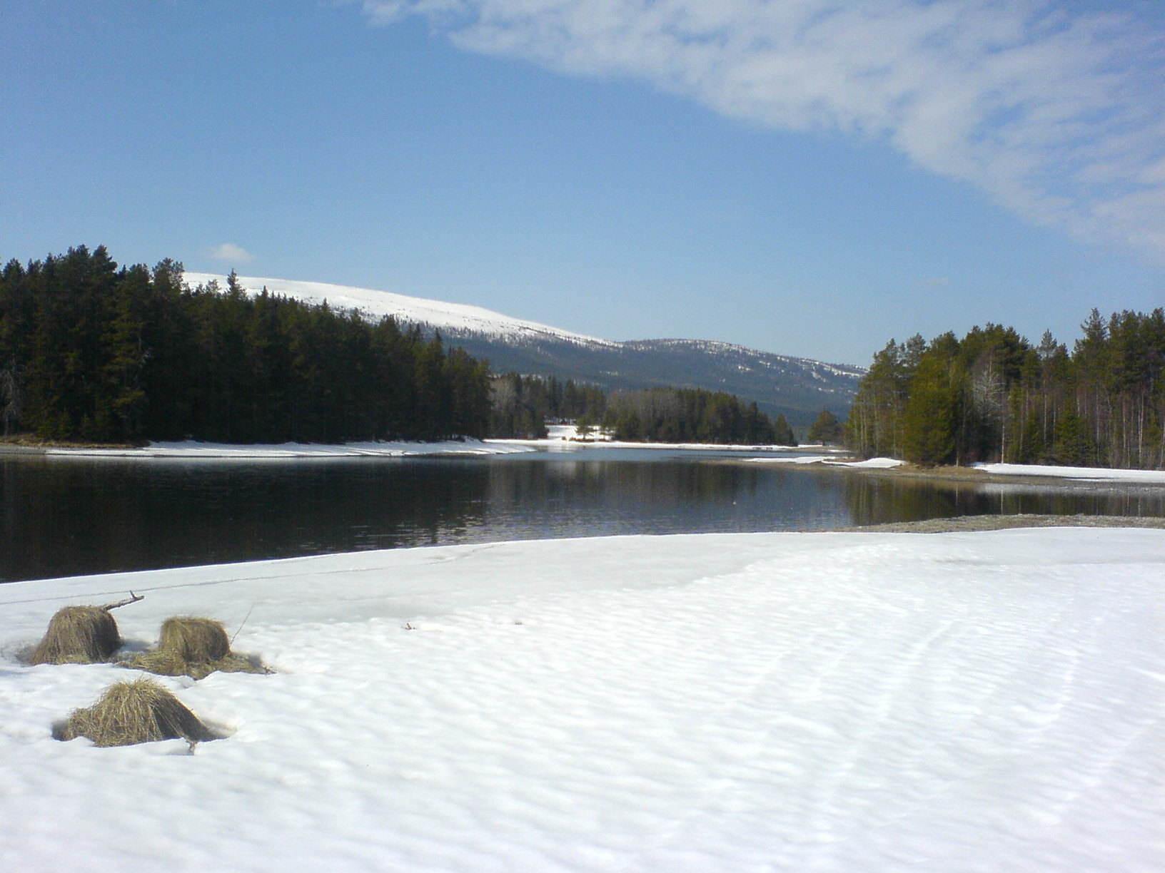 Skålan 206 – bild 4