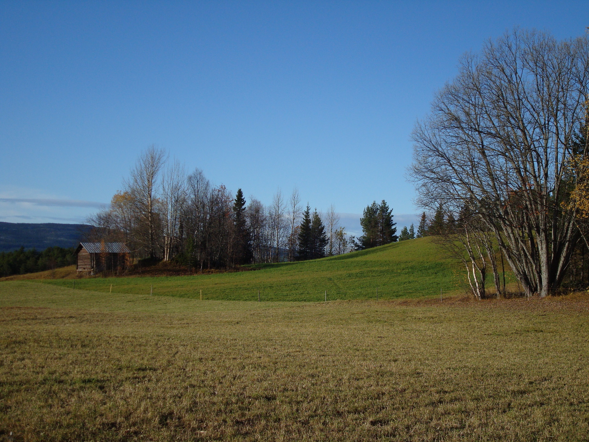Skålan 206 – bild 8