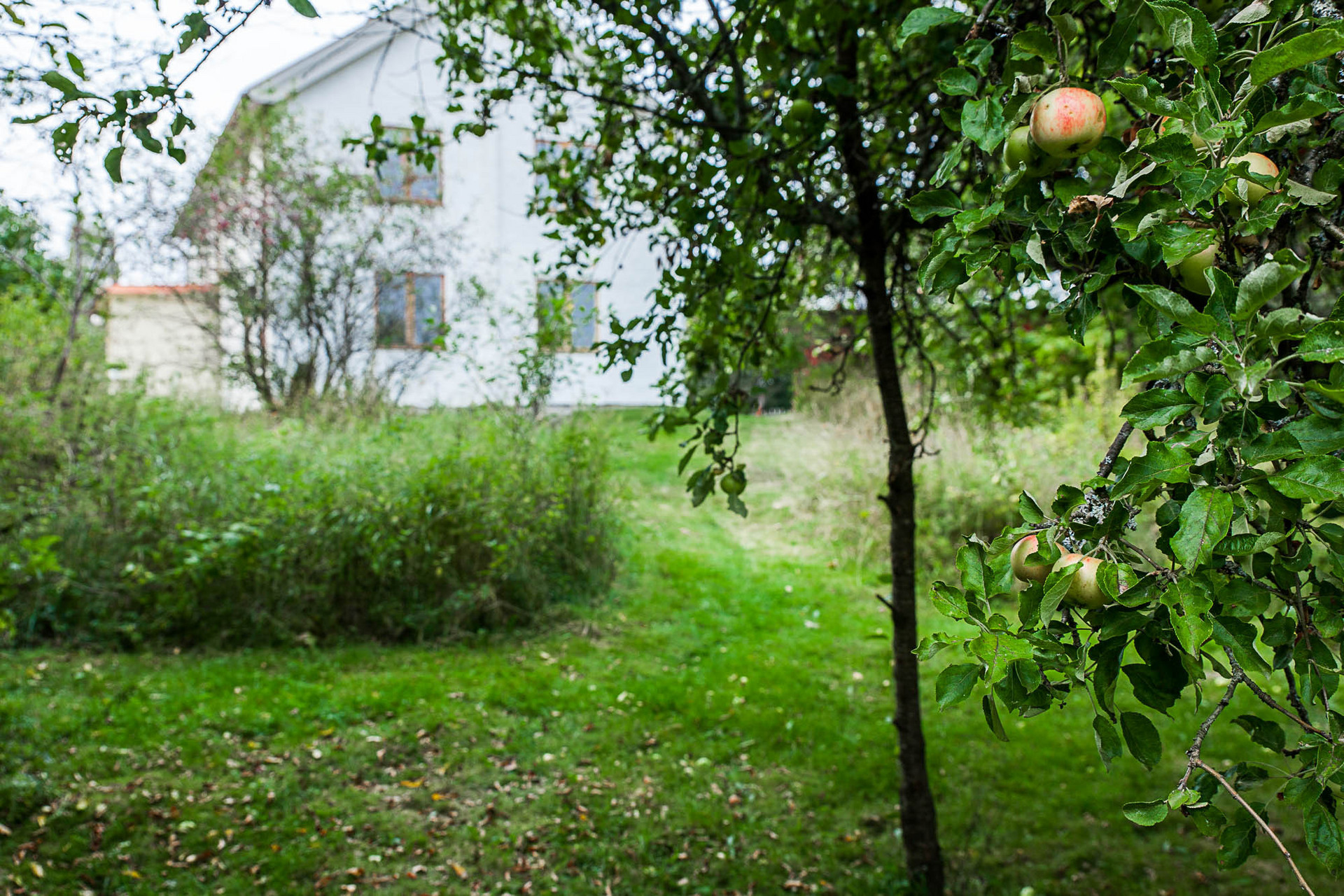 Ruda 2 – bild 5