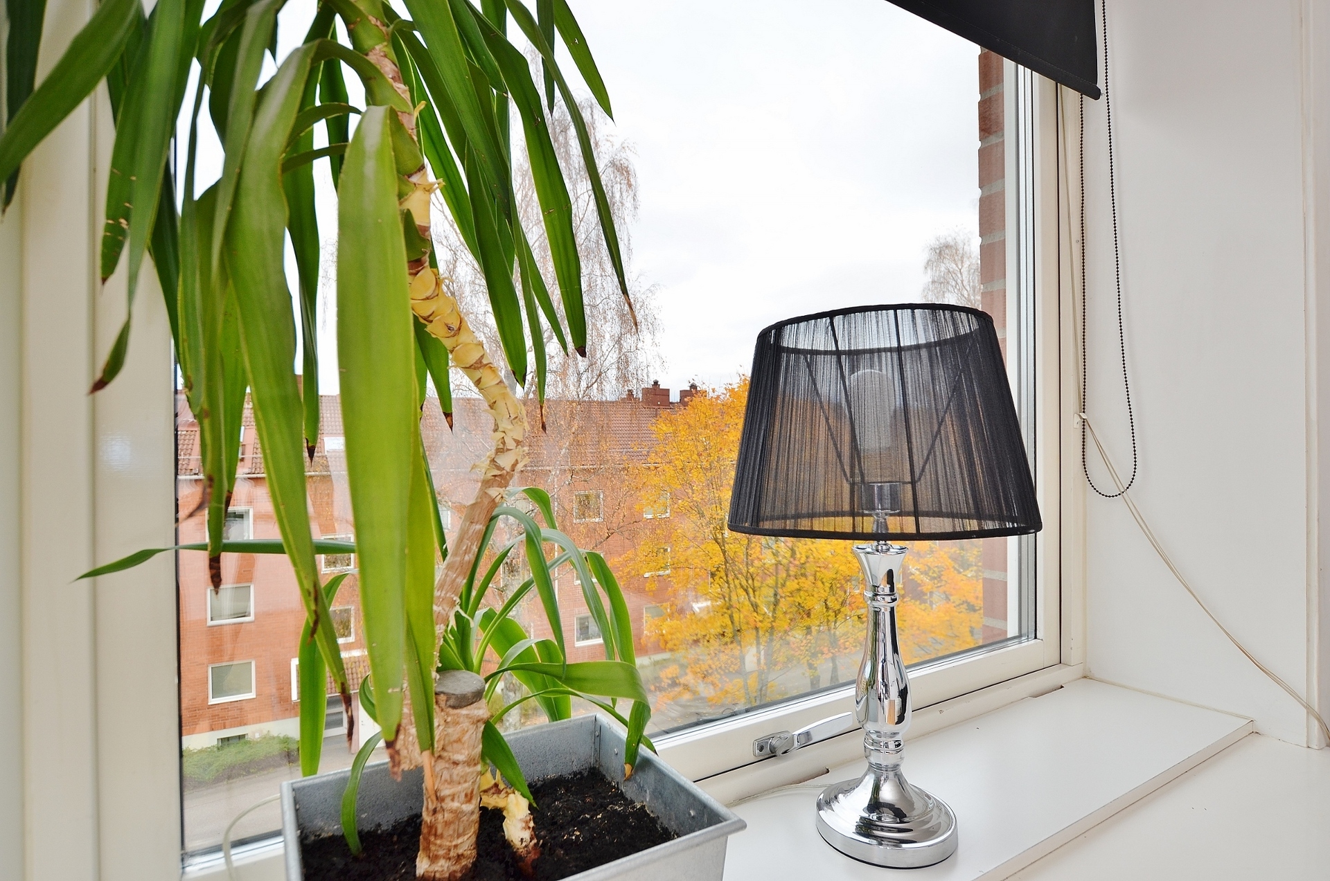 Norra Sjöbogatan 59 – bild 8