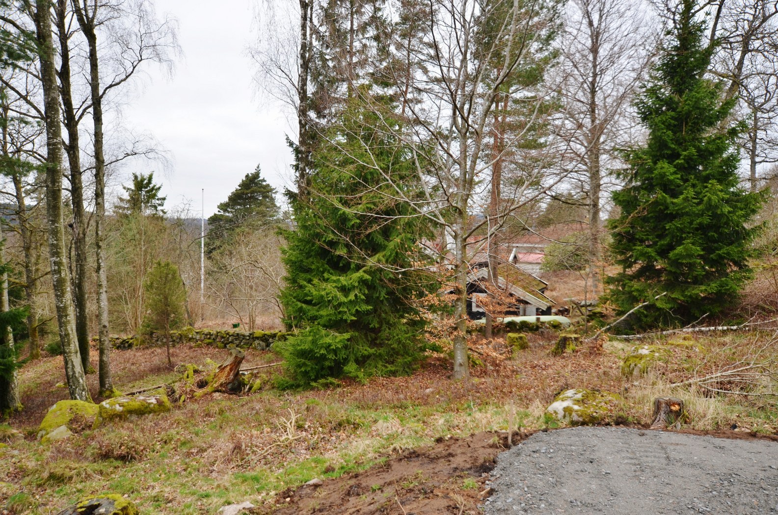 Klockliden 5 (2) – bild 4