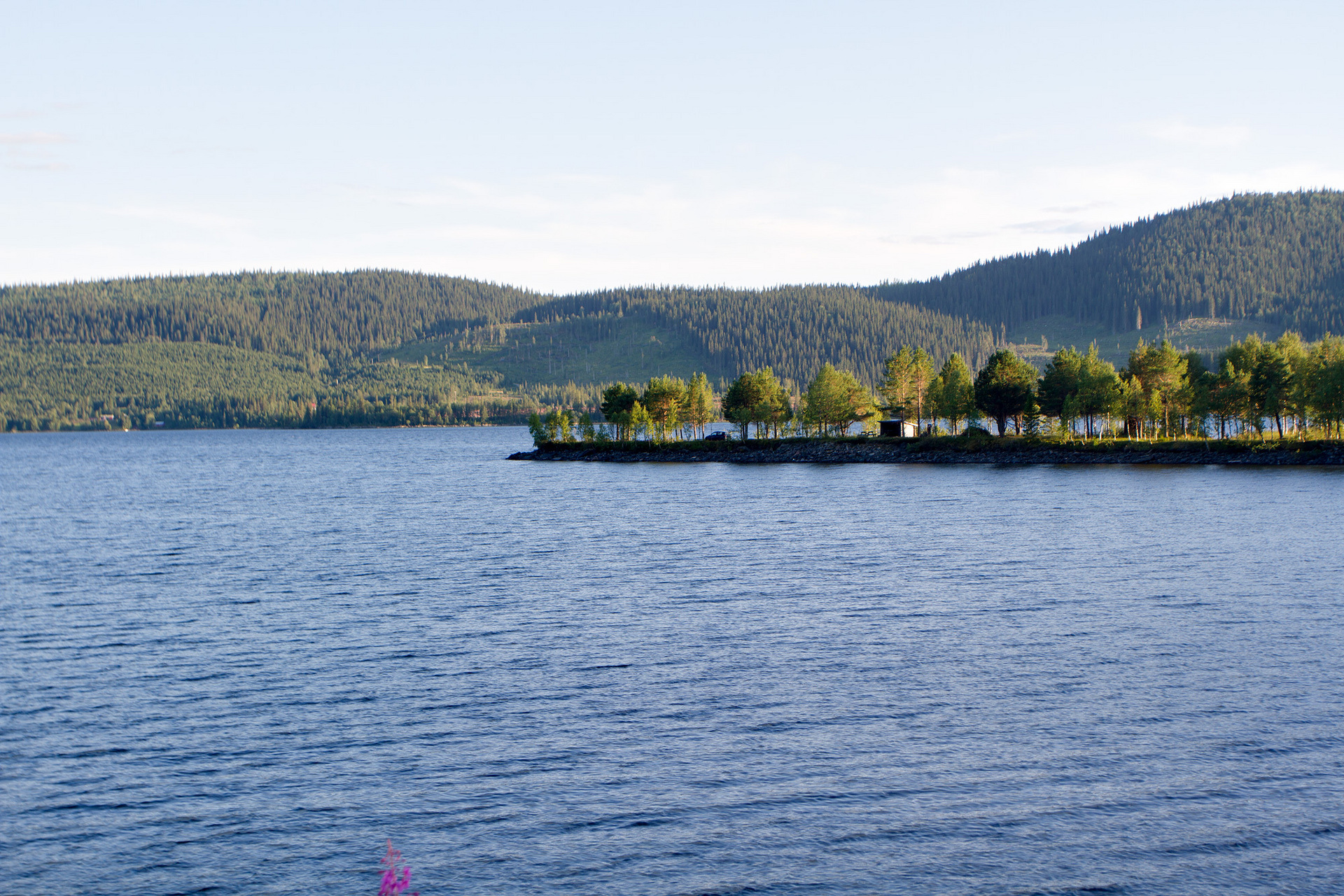 Bränna 280 – bild 6