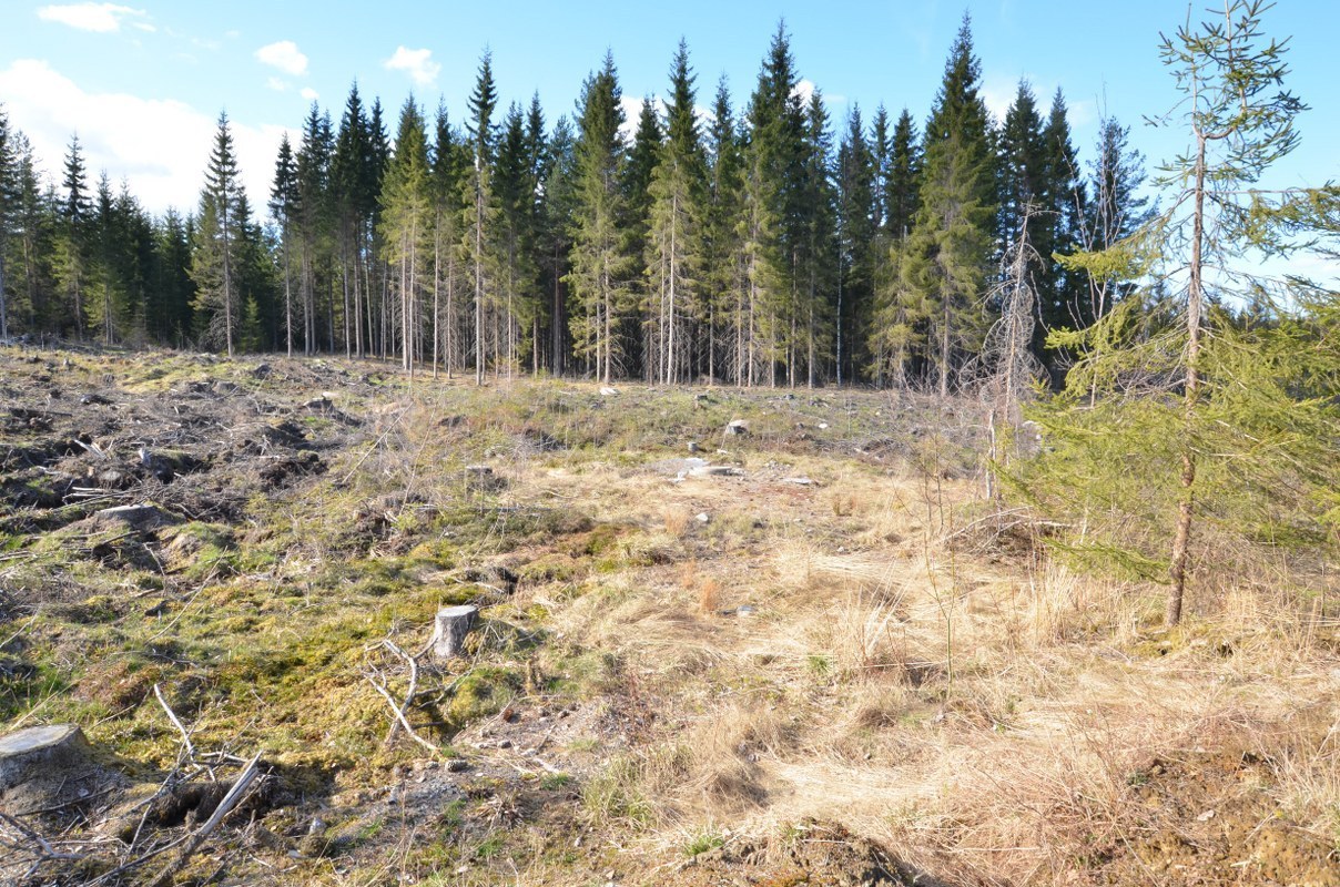 Sörmark 7:1 Lämbacken – bild 8