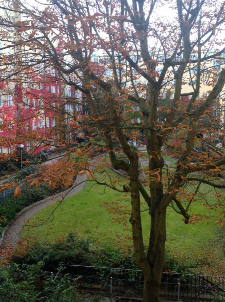 Kungsgatan 27B – bild 8